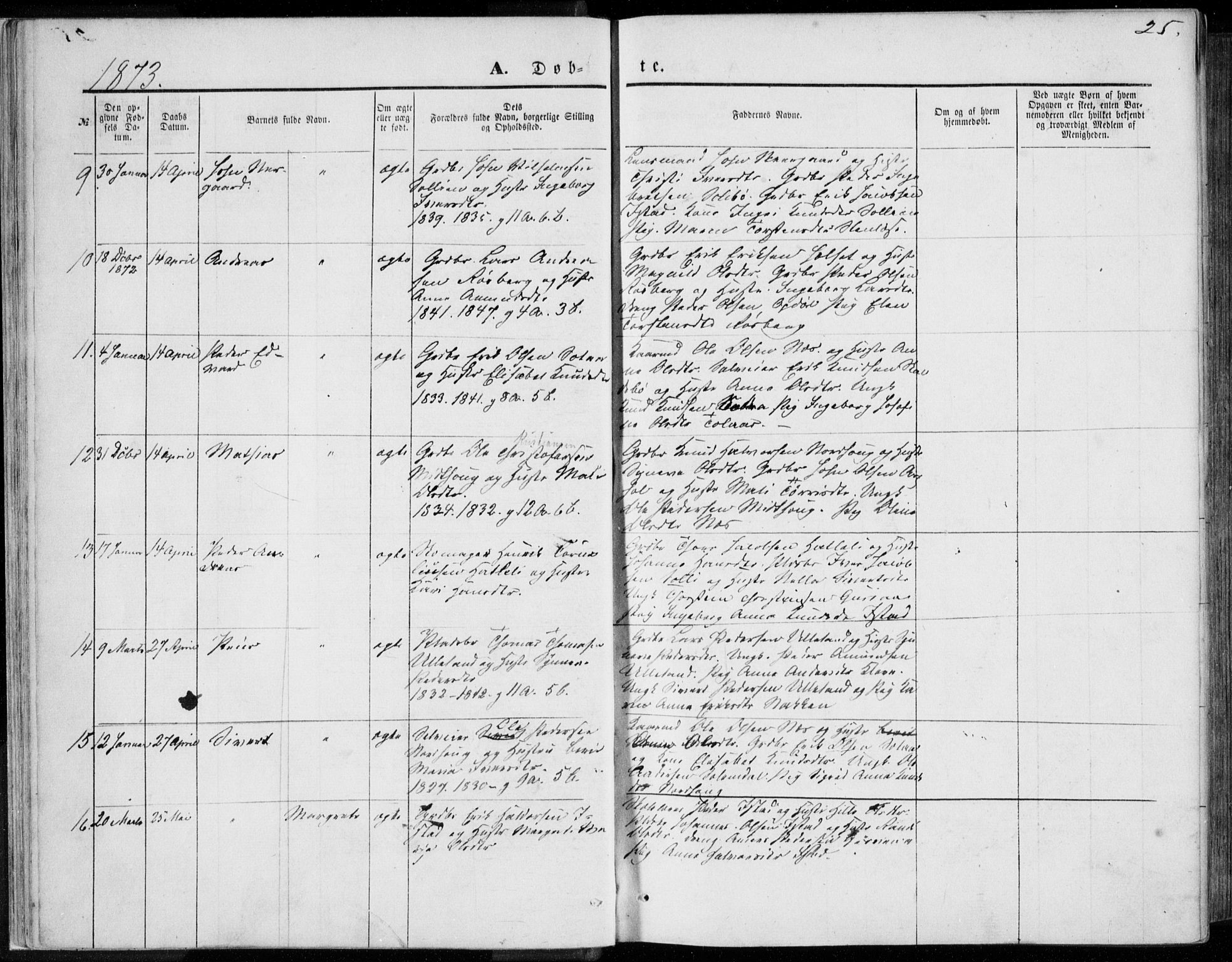 Ministerialprotokoller, klokkerbøker og fødselsregistre - Møre og Romsdal, AV/SAT-A-1454/557/L0681: Parish register (official) no. 557A03, 1869-1886, p. 25