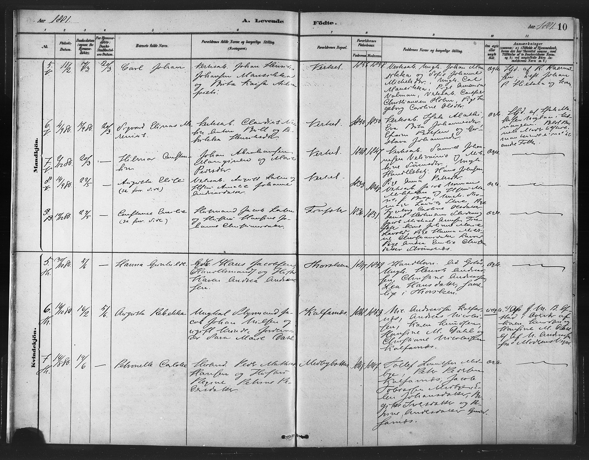 Berg sokneprestkontor, AV/SATØ-S-1318/G/Ga/Gaa/L0004kirke: Parish register (official) no. 4, 1880-1894, p. 10