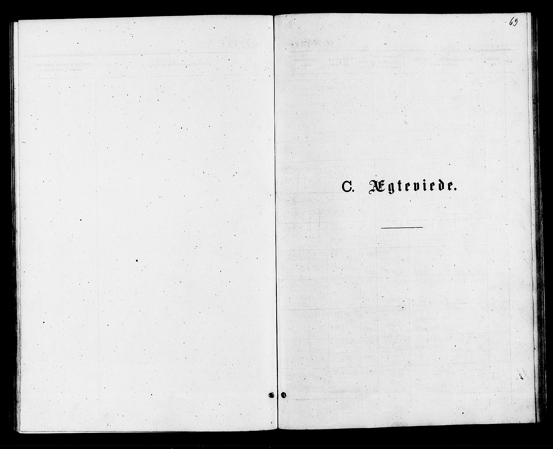 Røyken kirkebøker, SAKO/A-241/F/Fa/L0007: Parish register (official) no. 7, 1876-1879, p. 63