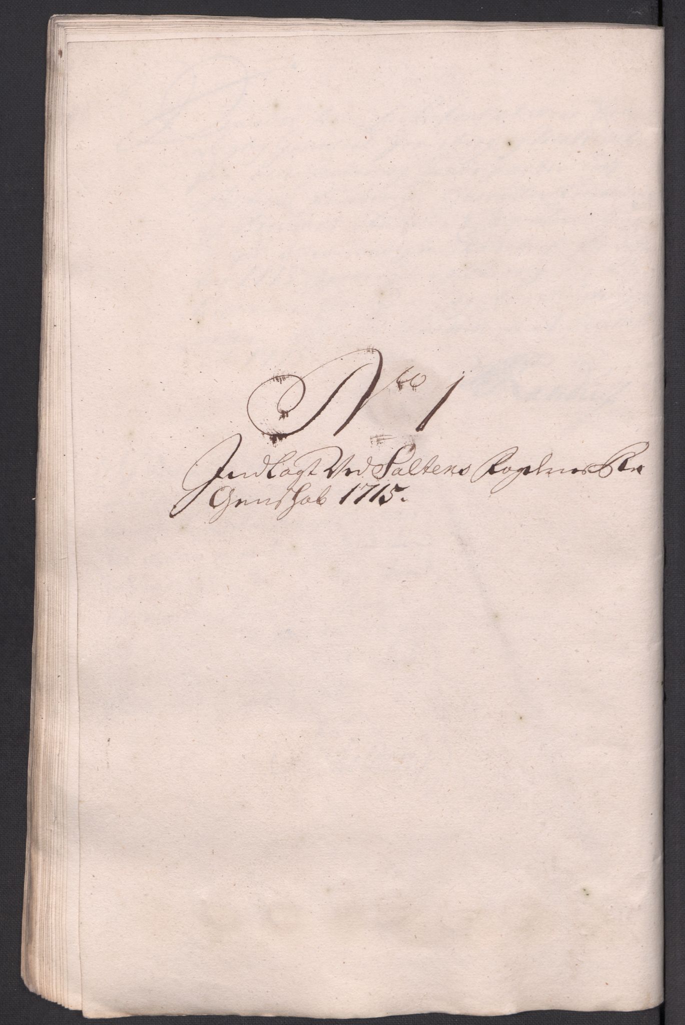 Rentekammeret inntil 1814, Reviderte regnskaper, Fogderegnskap, RA/EA-4092/R66/L4585: Fogderegnskap Salten, 1715, p. 60