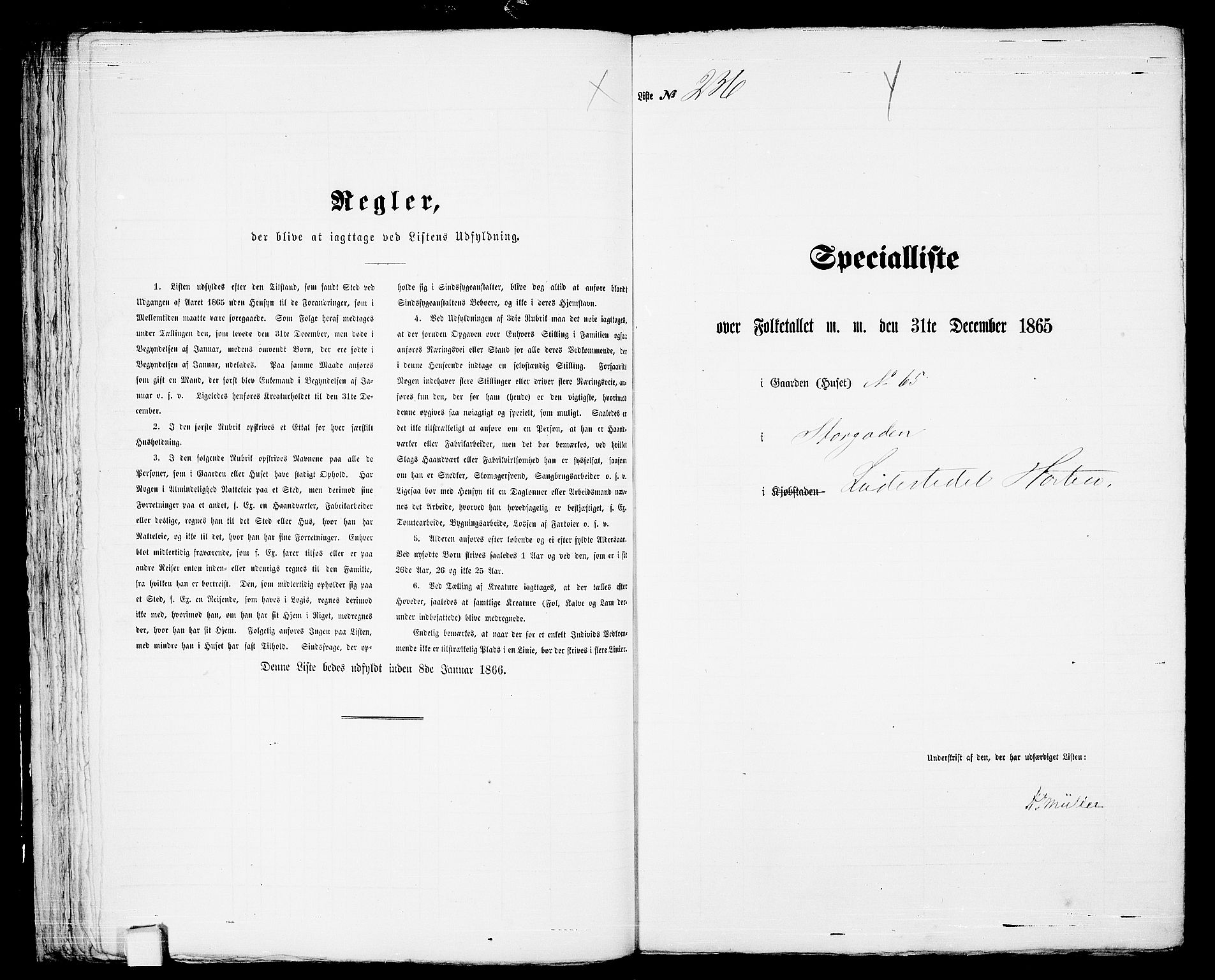 RA, 1865 census for Horten, 1865, p. 507