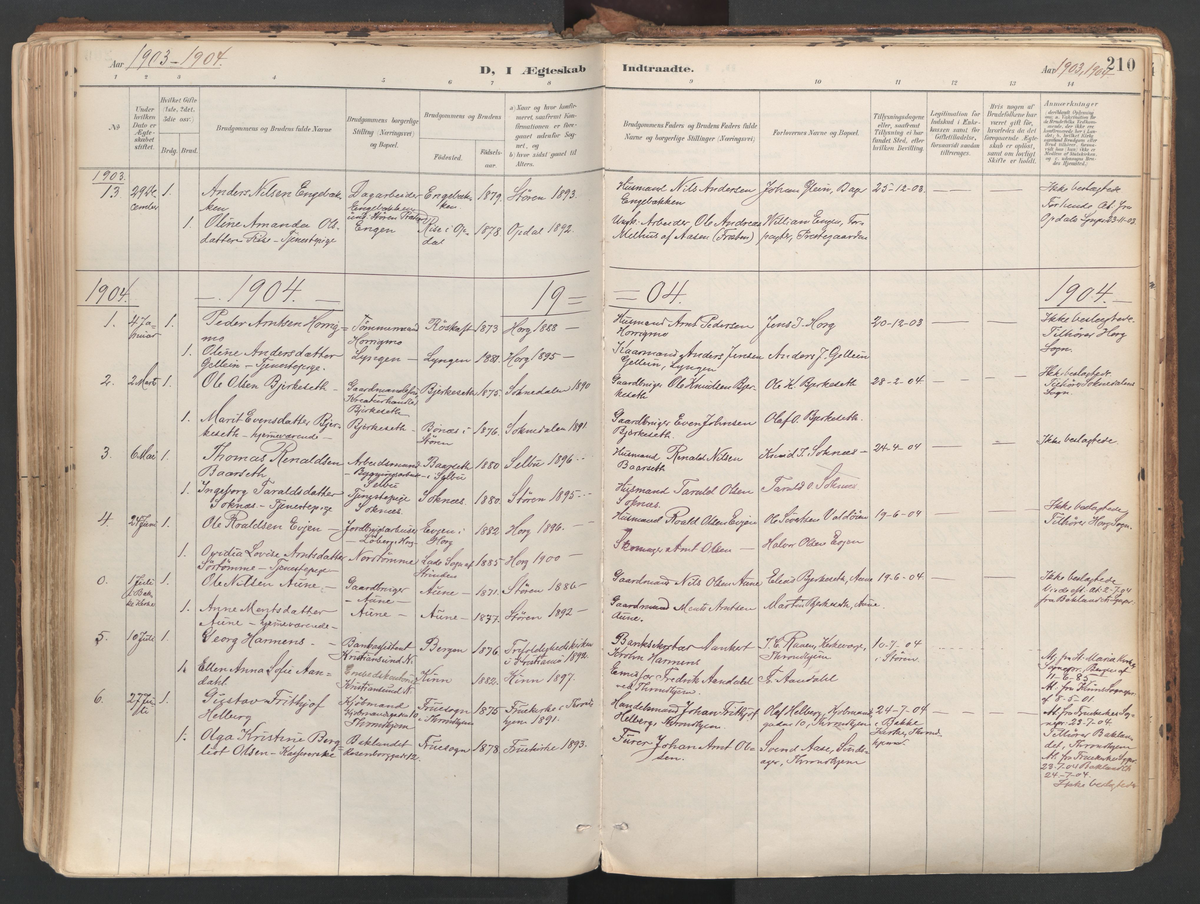 Ministerialprotokoller, klokkerbøker og fødselsregistre - Sør-Trøndelag, SAT/A-1456/687/L1004: Parish register (official) no. 687A10, 1891-1923, p. 210