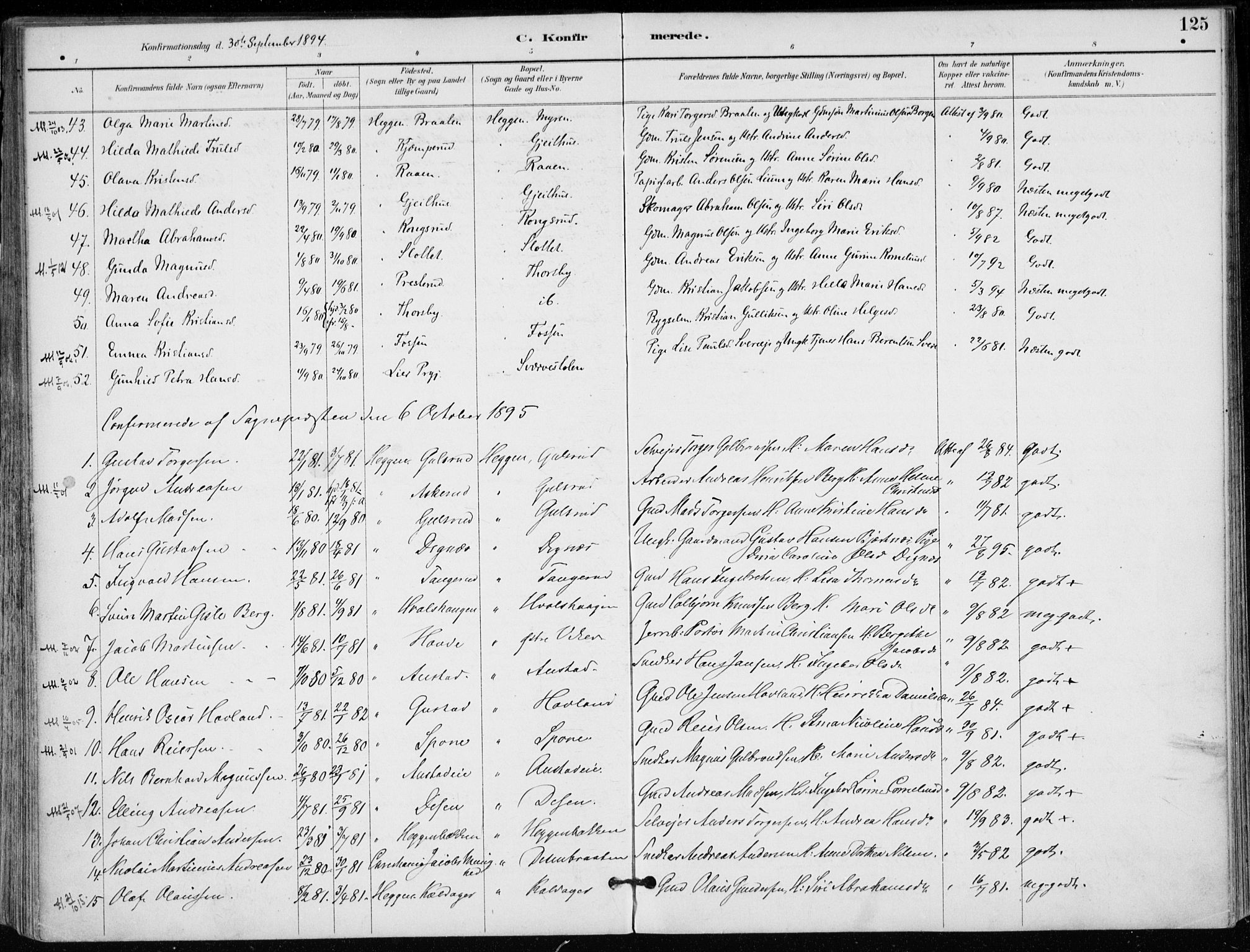 Modum kirkebøker, AV/SAKO-A-234/F/Fa/L0012: Parish register (official) no. 12, 1890-1898, p. 125