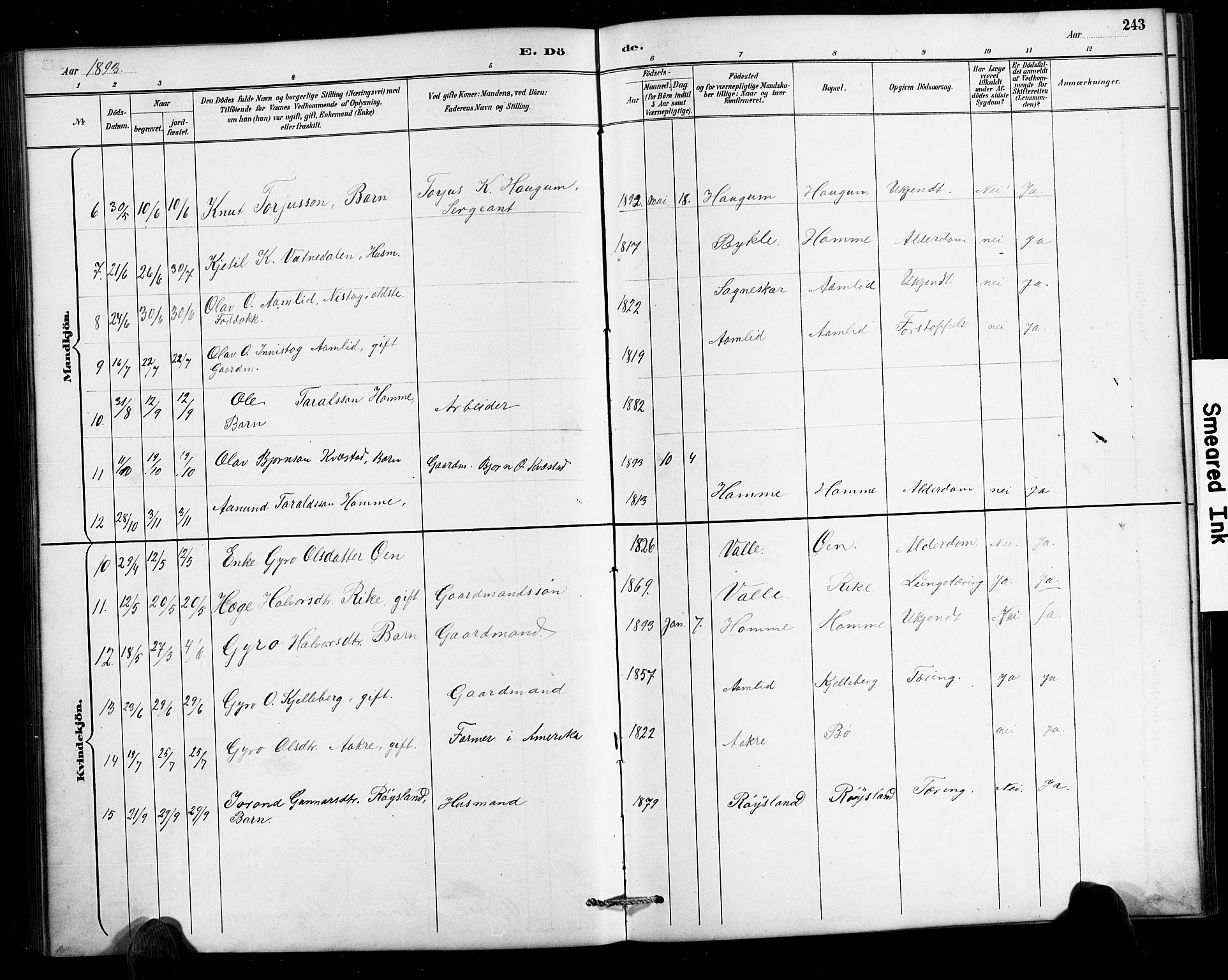 Valle sokneprestkontor, SAK/1111-0044/F/Fb/Fbc/L0004: Parish register (copy) no. B 4, 1890-1928, p. 243