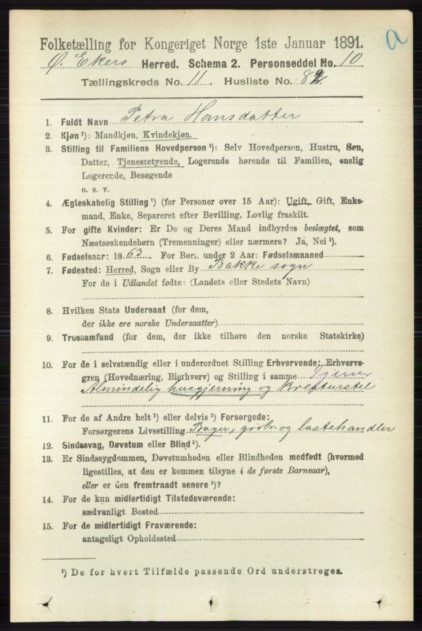 RA, 1891 census for 0624 Øvre Eiker, 1891, p. 5101