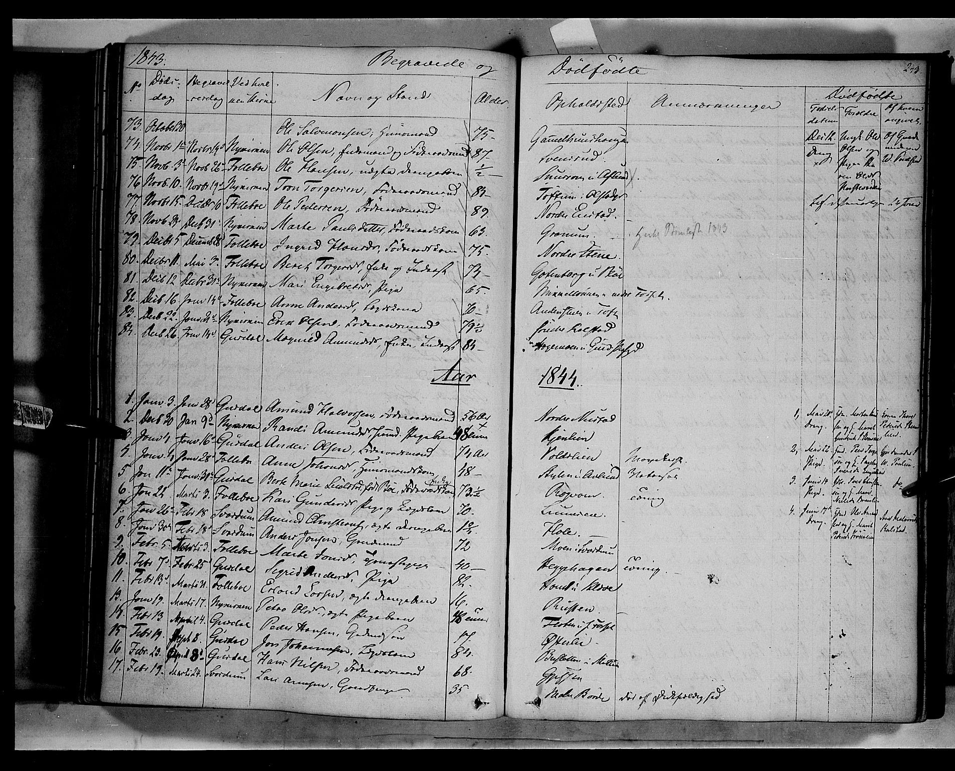 Gausdal prestekontor, SAH/PREST-090/H/Ha/Haa/L0007: Parish register (official) no. 7, 1840-1850, p. 243