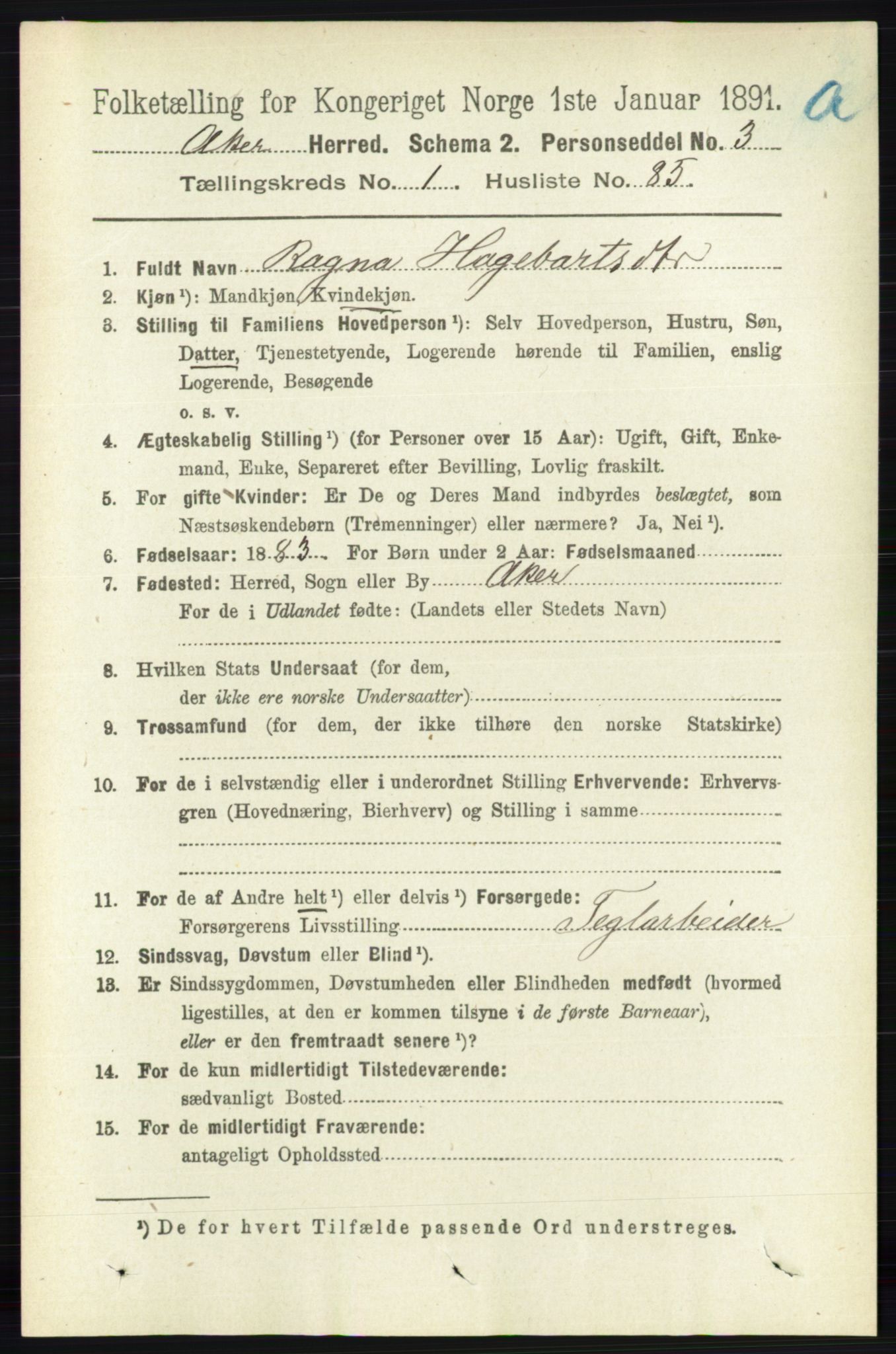 RA, 1891 census for 0218 Aker, 1891, p. 1162