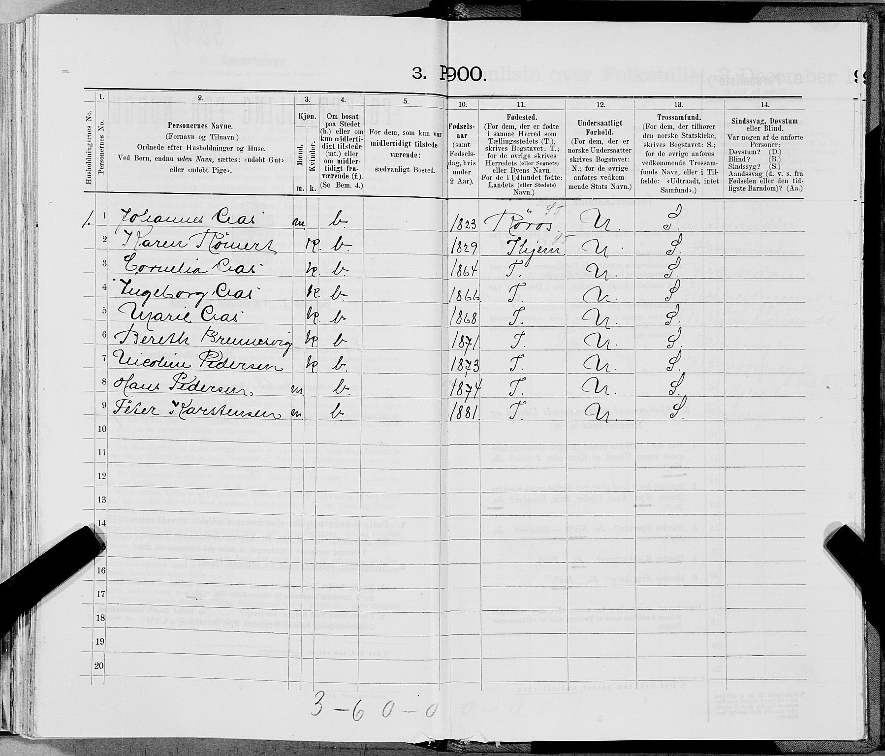 SAT, 1900 census for Hemnes, 1900, p. 1313