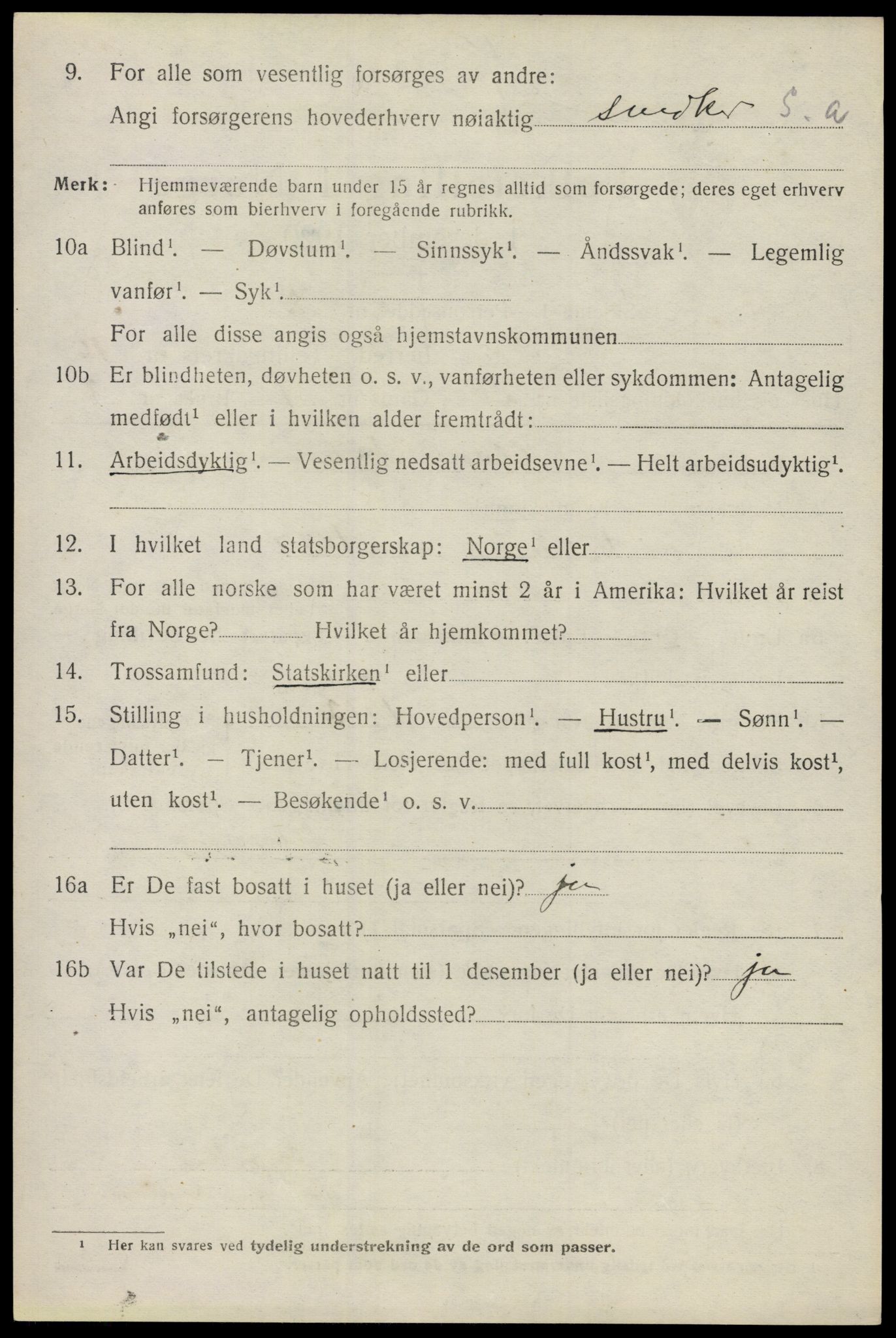 SAO, 1920 census for Nes, 1920, p. 16163