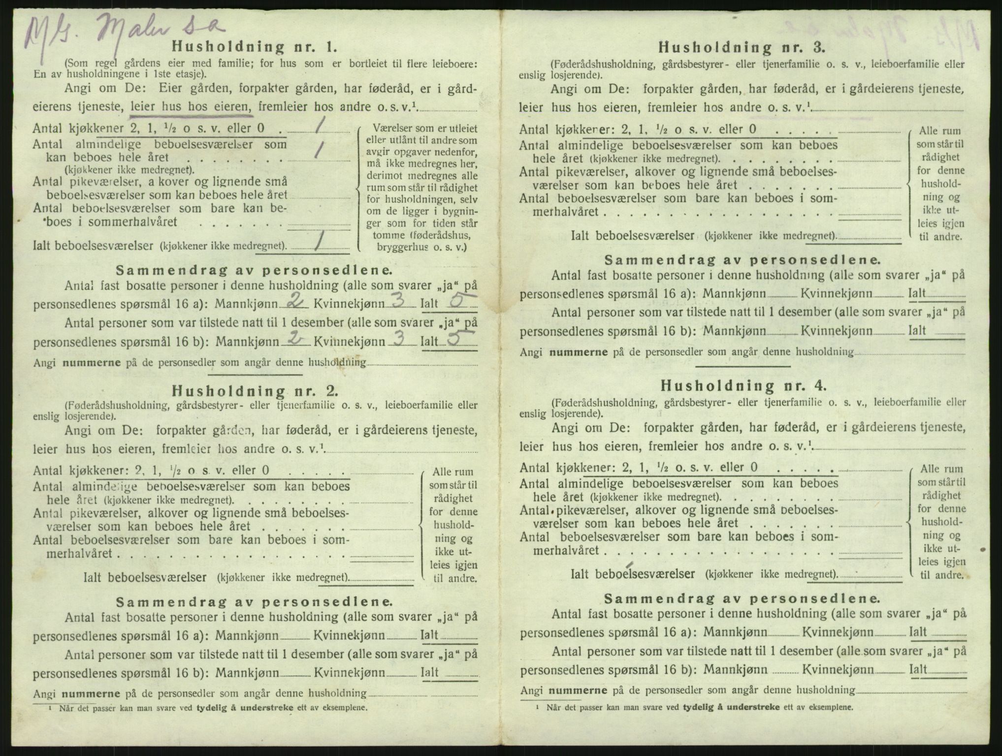 SAKO, 1920 census for Brunlanes, 1920, p. 968