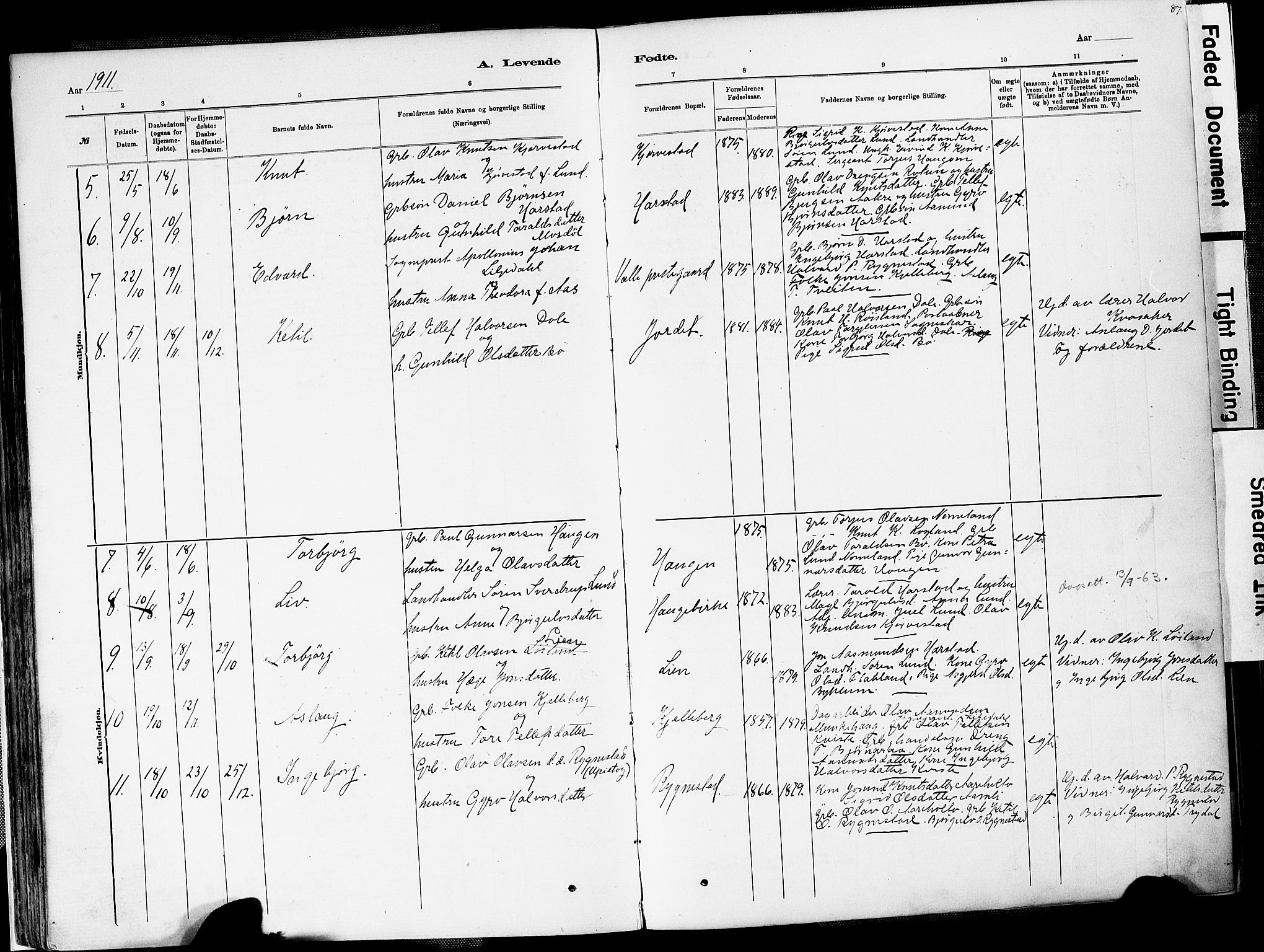 Valle sokneprestkontor, AV/SAK-1111-0044/F/Fa/Fac/L0009: Parish register (official) no. A 9, 1882-1913, p. 87