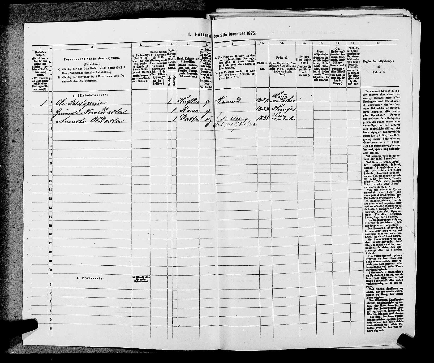 SAKO, 1875 census for 0613L Norderhov/Norderhov, Haug og Lunder, 1875, p. 1690