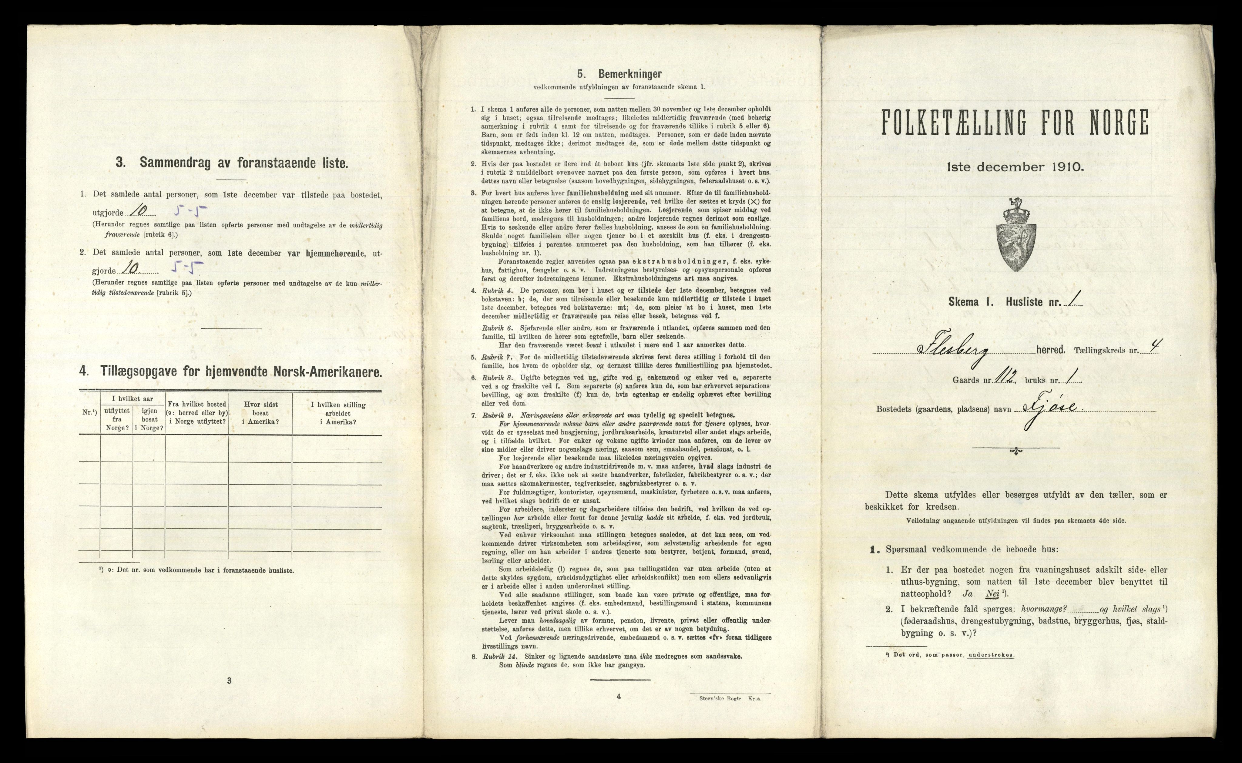 RA, 1910 census for Flesberg, 1910, p. 213