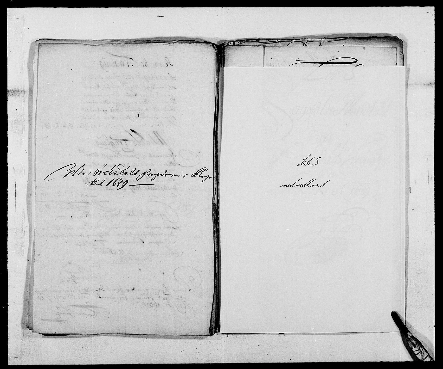 Rentekammeret inntil 1814, Reviderte regnskaper, Fogderegnskap, AV/RA-EA-4092/R58/L3936: Fogderegnskap Orkdal, 1689-1690, p. 172