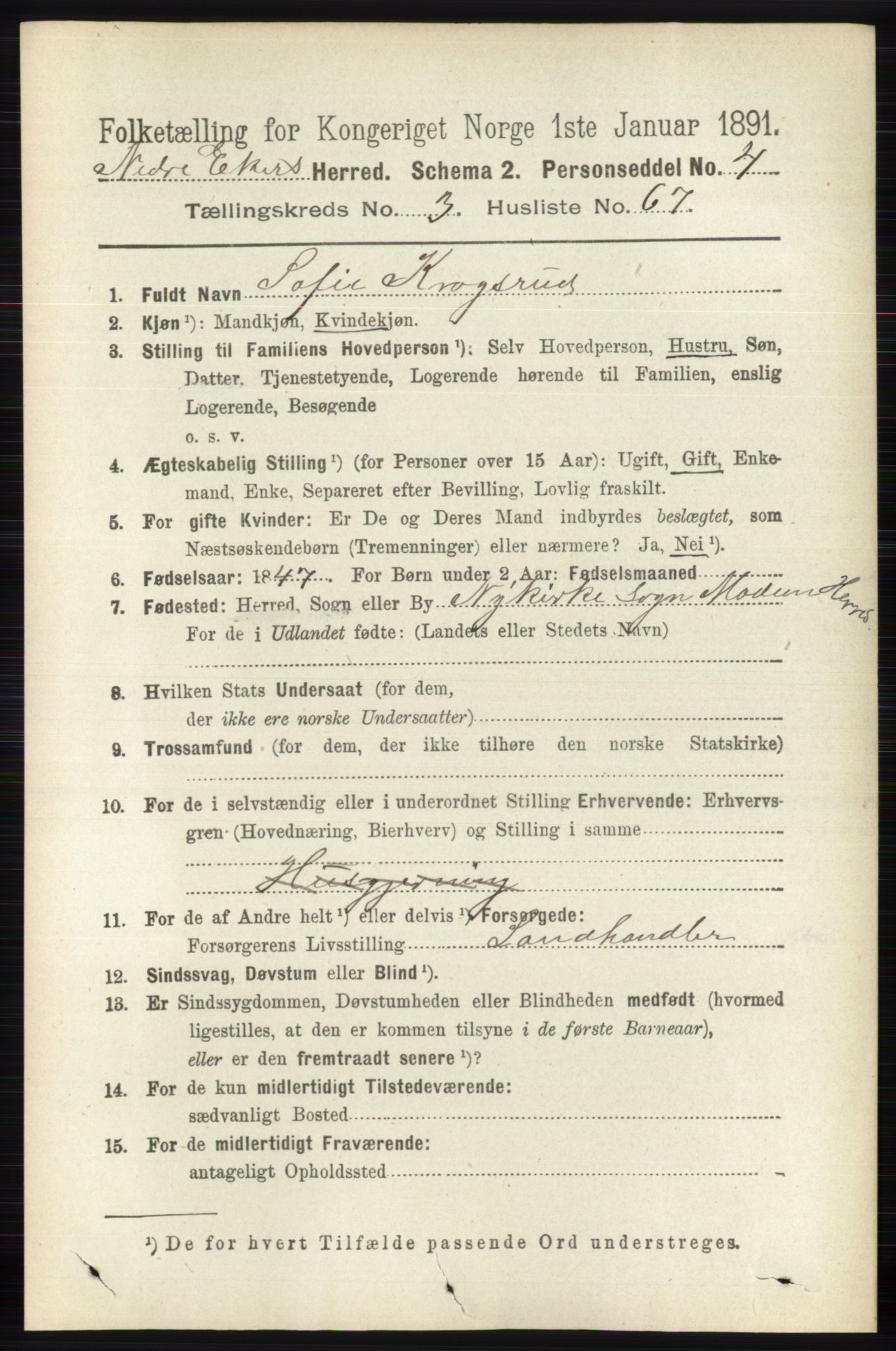 RA, 1891 census for 0625 Nedre Eiker, 1891, p. 1549