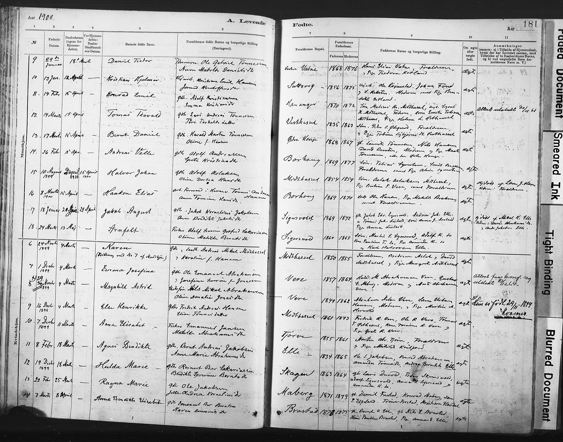 Lista sokneprestkontor, AV/SAK-1111-0027/F/Fa/L0012: Parish register (official) no. A 12, 1879-1903, p. 181