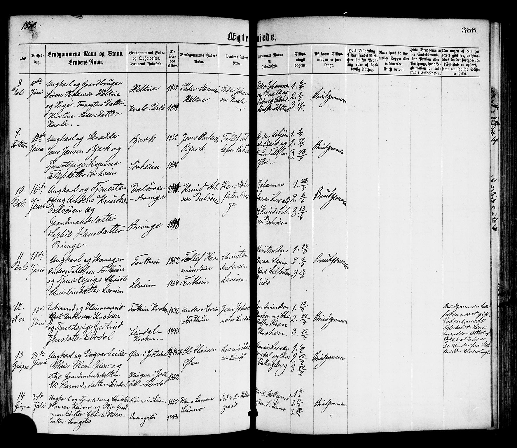 Luster sokneprestembete, SAB/A-81101/H/Haa/Haaa/L0010: Parish register (official) no. A 10, 1871-1886, p. 366