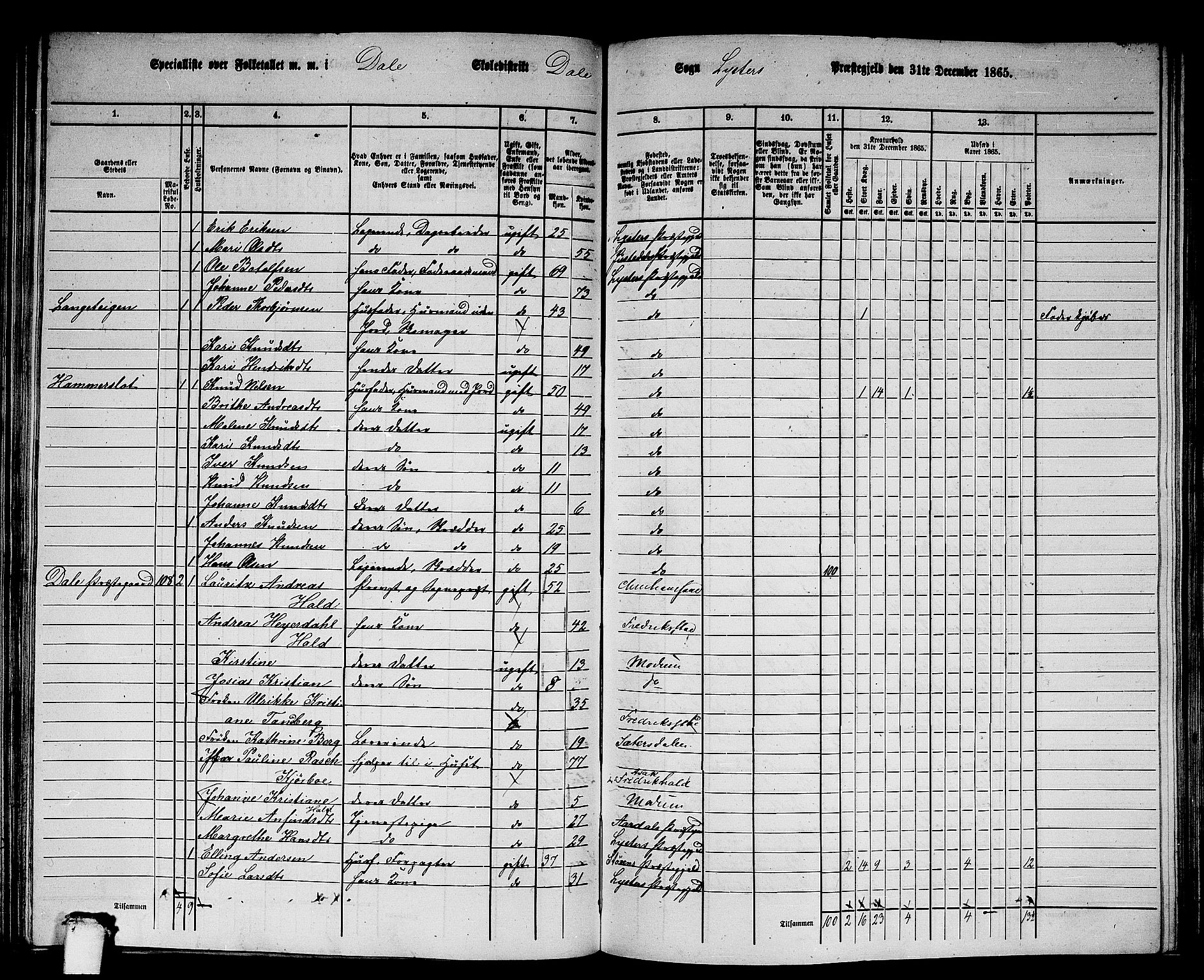 RA, 1865 census for Luster, 1865, p. 95