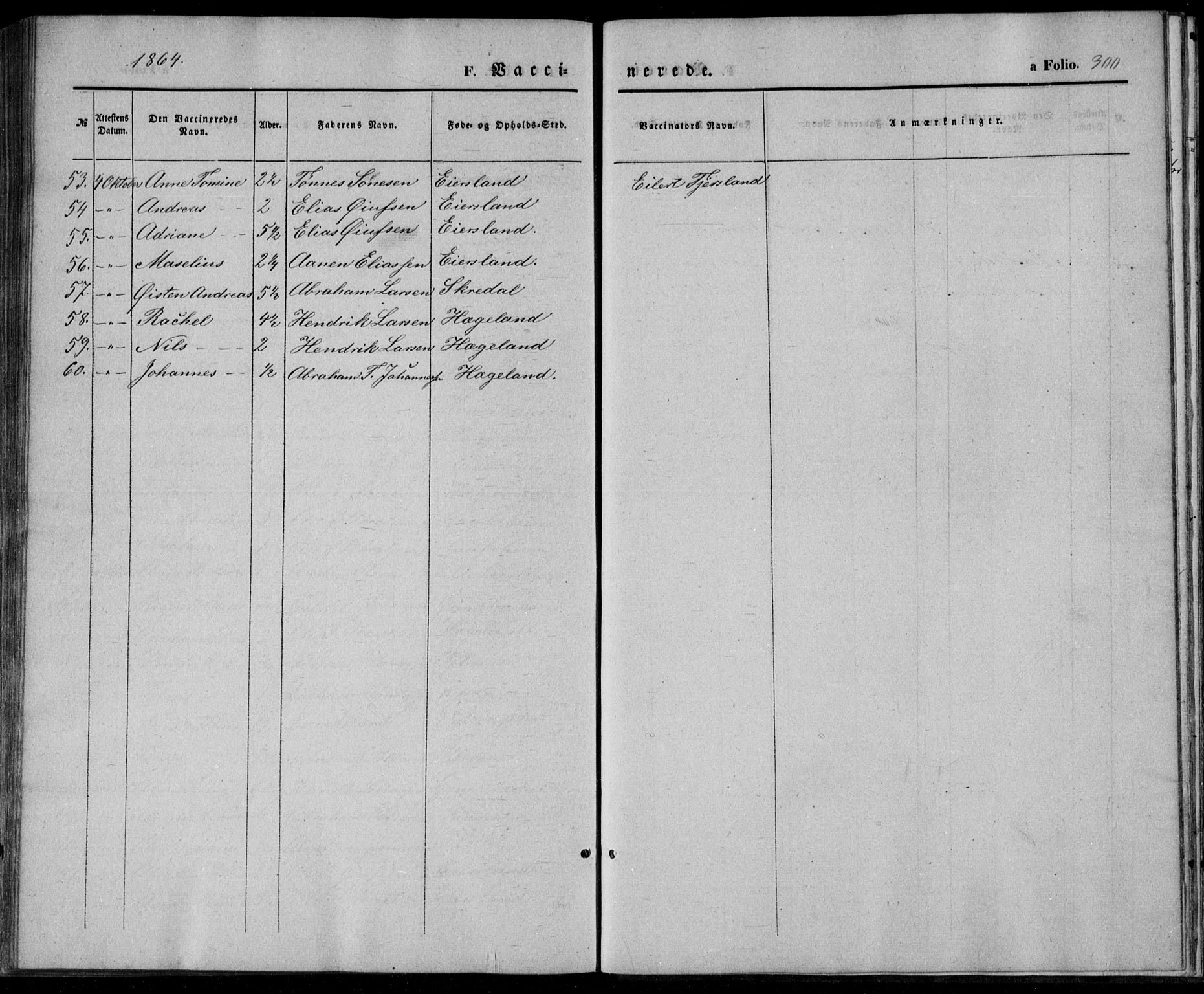 Lyngdal sokneprestkontor, AV/SAK-1111-0029/F/Fa/Fac/L0009: Parish register (official) no. A 9, 1852-1864, p. 300