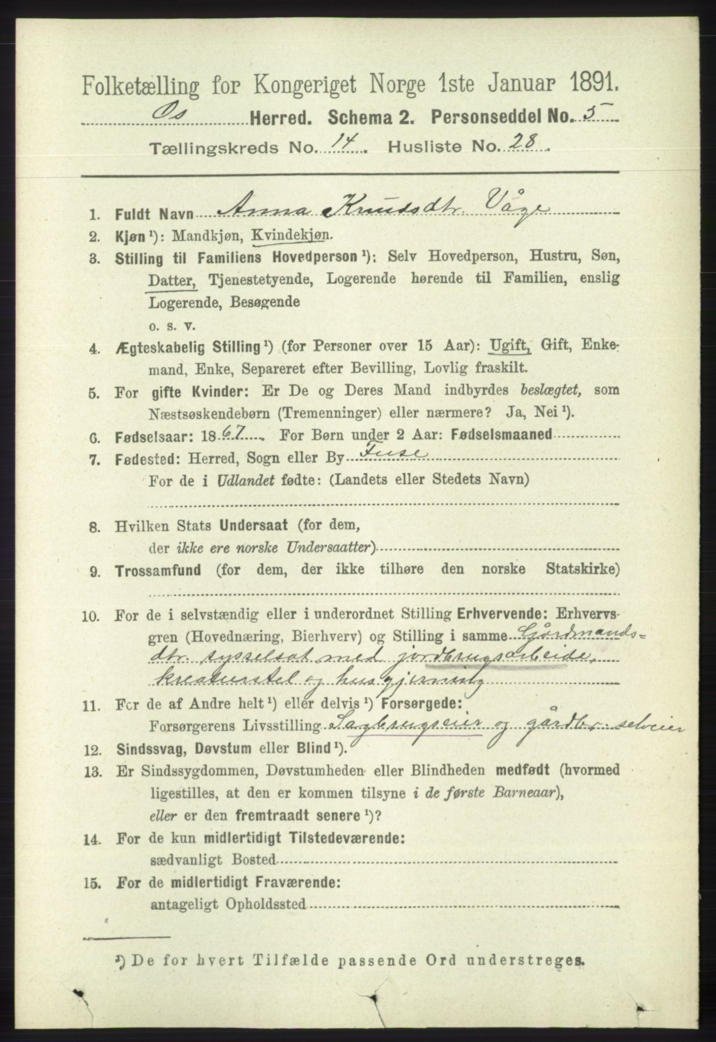 RA, 1891 census for 1243 Os, 1891, p. 3247