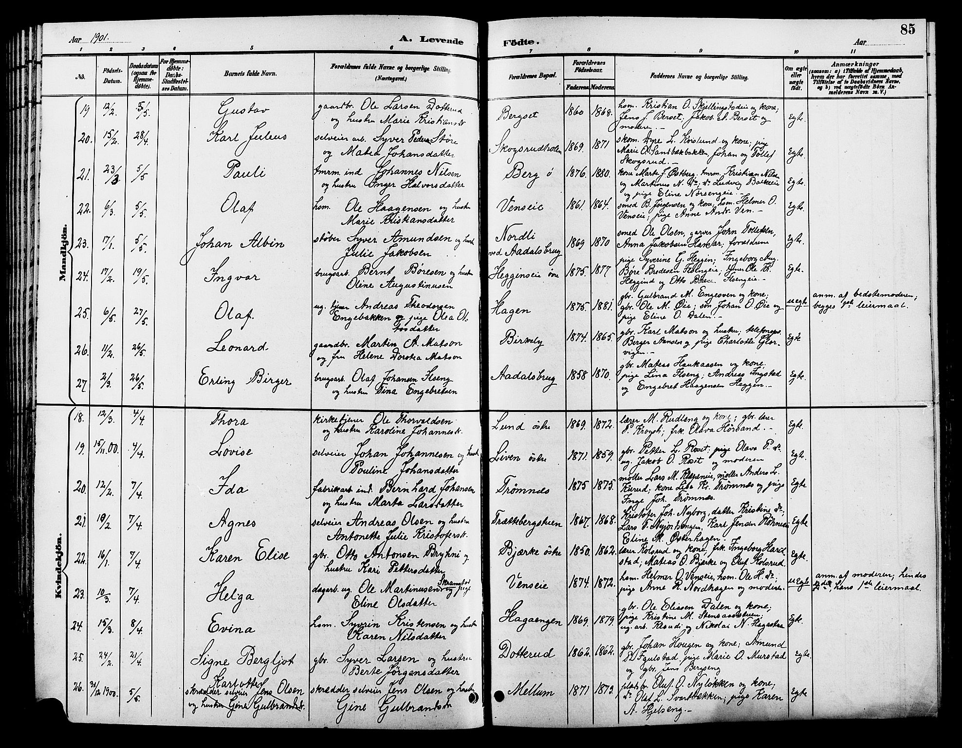 Løten prestekontor, SAH/PREST-022/L/La/L0006: Parish register (copy) no. 6, 1892-1909, p. 85