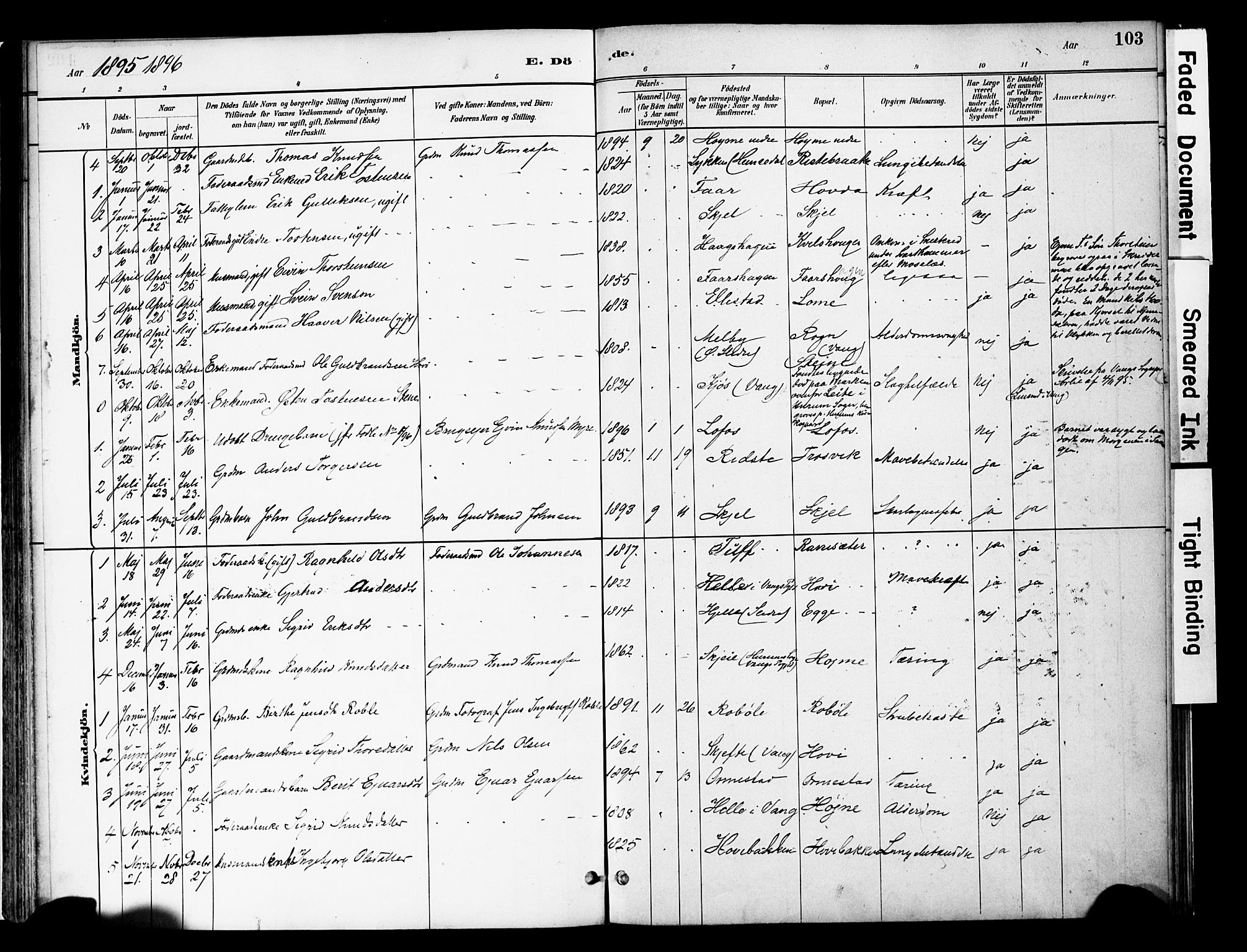 Vestre Slidre prestekontor, SAH/PREST-136/H/Ha/Haa/L0005: Parish register (official) no. 5, 1881-1912, p. 103