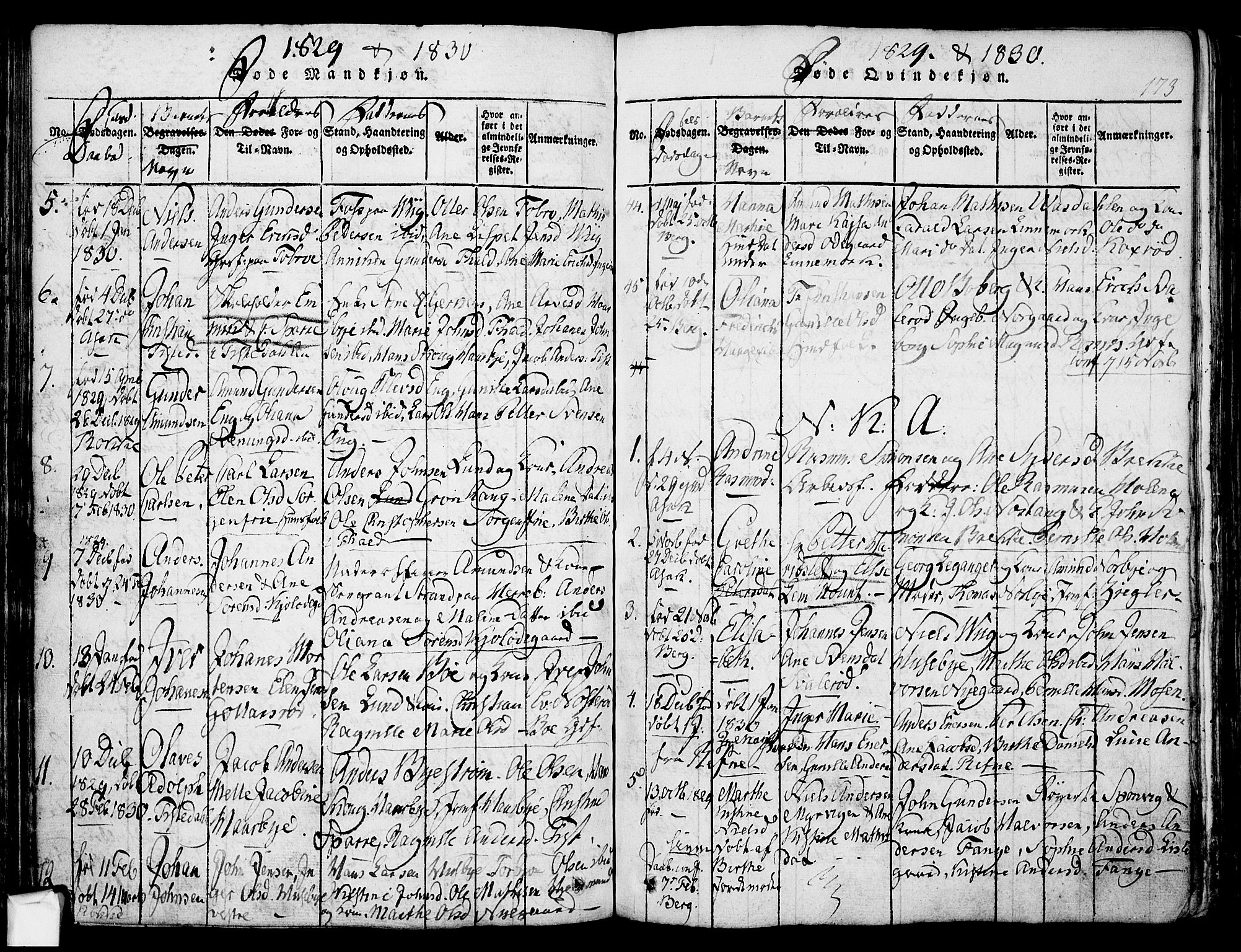 Berg prestekontor Kirkebøker, SAO/A-10902/F/Fa/L0002: Parish register (official) no. I 2, 1815-1831, p. 173