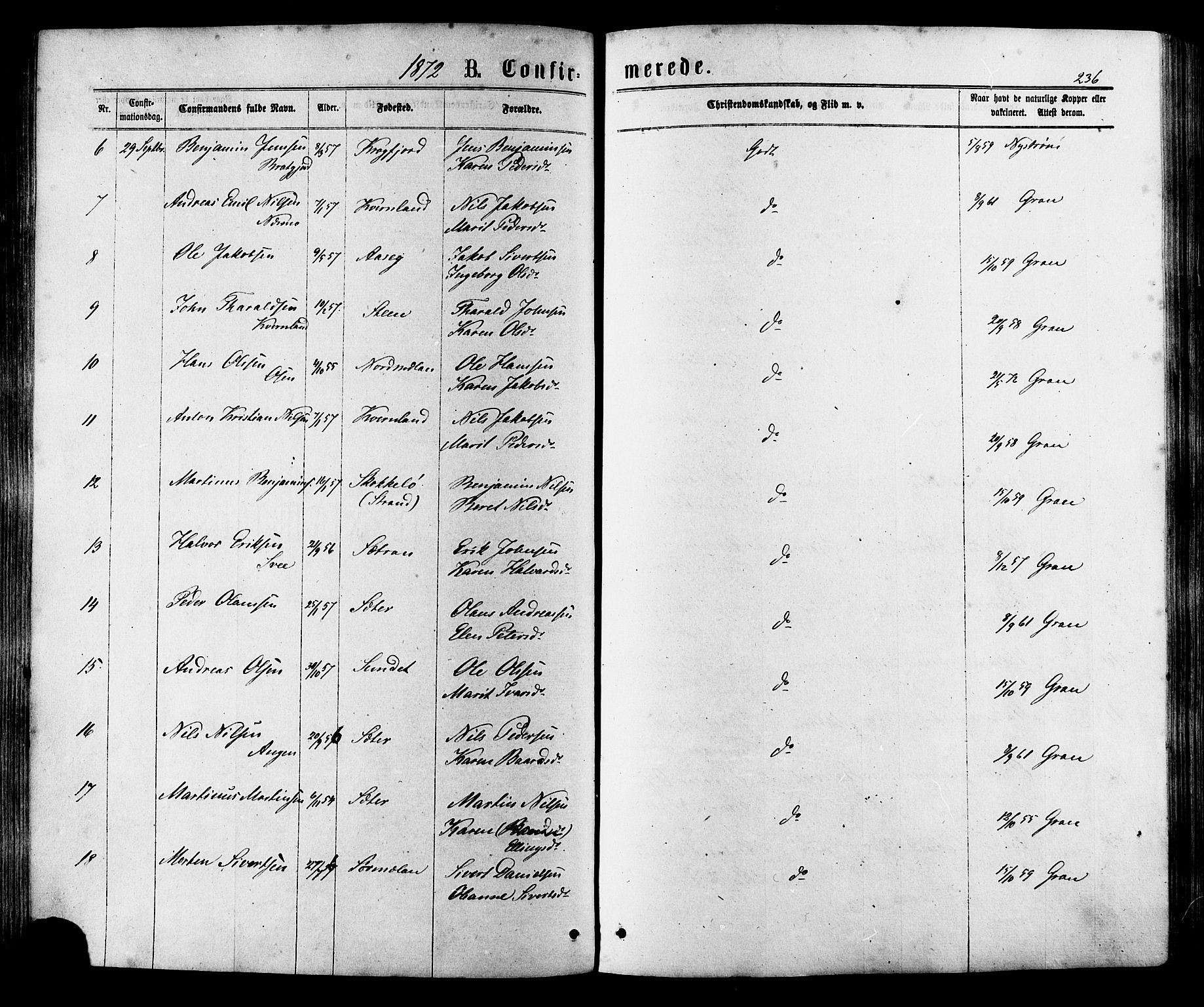 Ministerialprotokoller, klokkerbøker og fødselsregistre - Sør-Trøndelag, SAT/A-1456/657/L0706: Parish register (official) no. 657A07, 1867-1878, p. 236