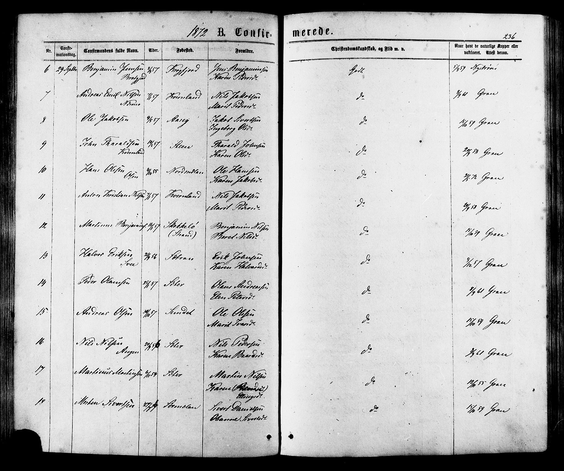 Ministerialprotokoller, klokkerbøker og fødselsregistre - Sør-Trøndelag, AV/SAT-A-1456/657/L0706: Parish register (official) no. 657A07, 1867-1878, p. 236