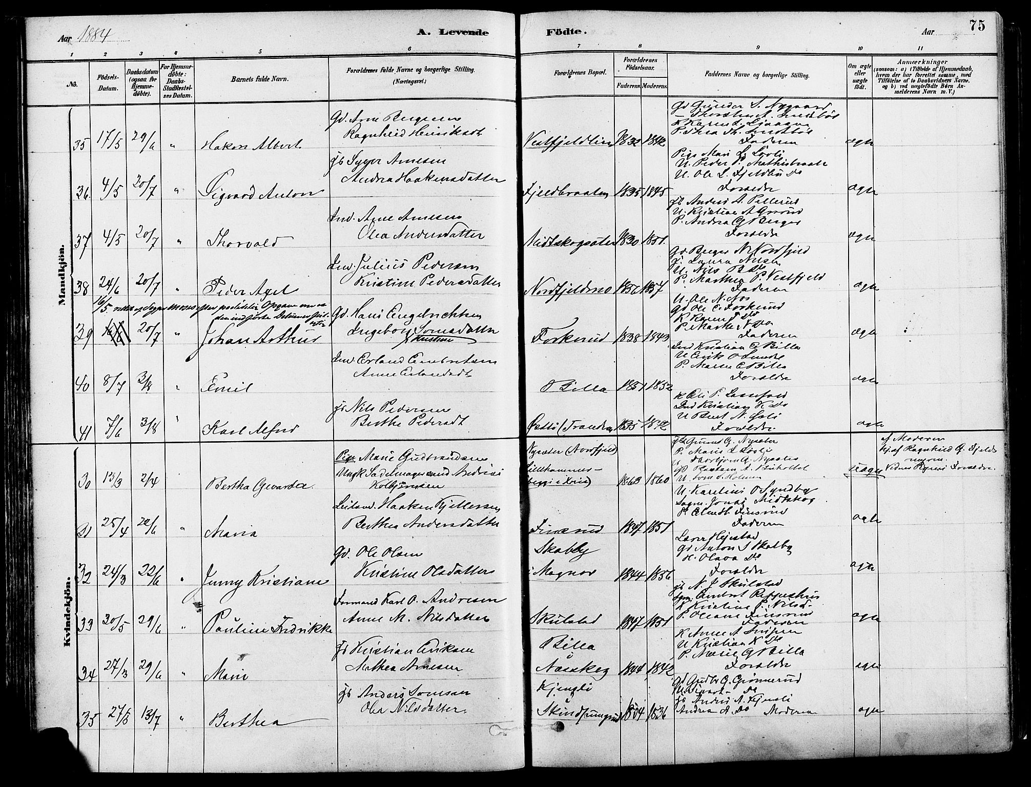 Eidskog prestekontor, SAH/PREST-026/H/Ha/Haa/L0003: Parish register (official) no. 3, 1879-1892, p. 75