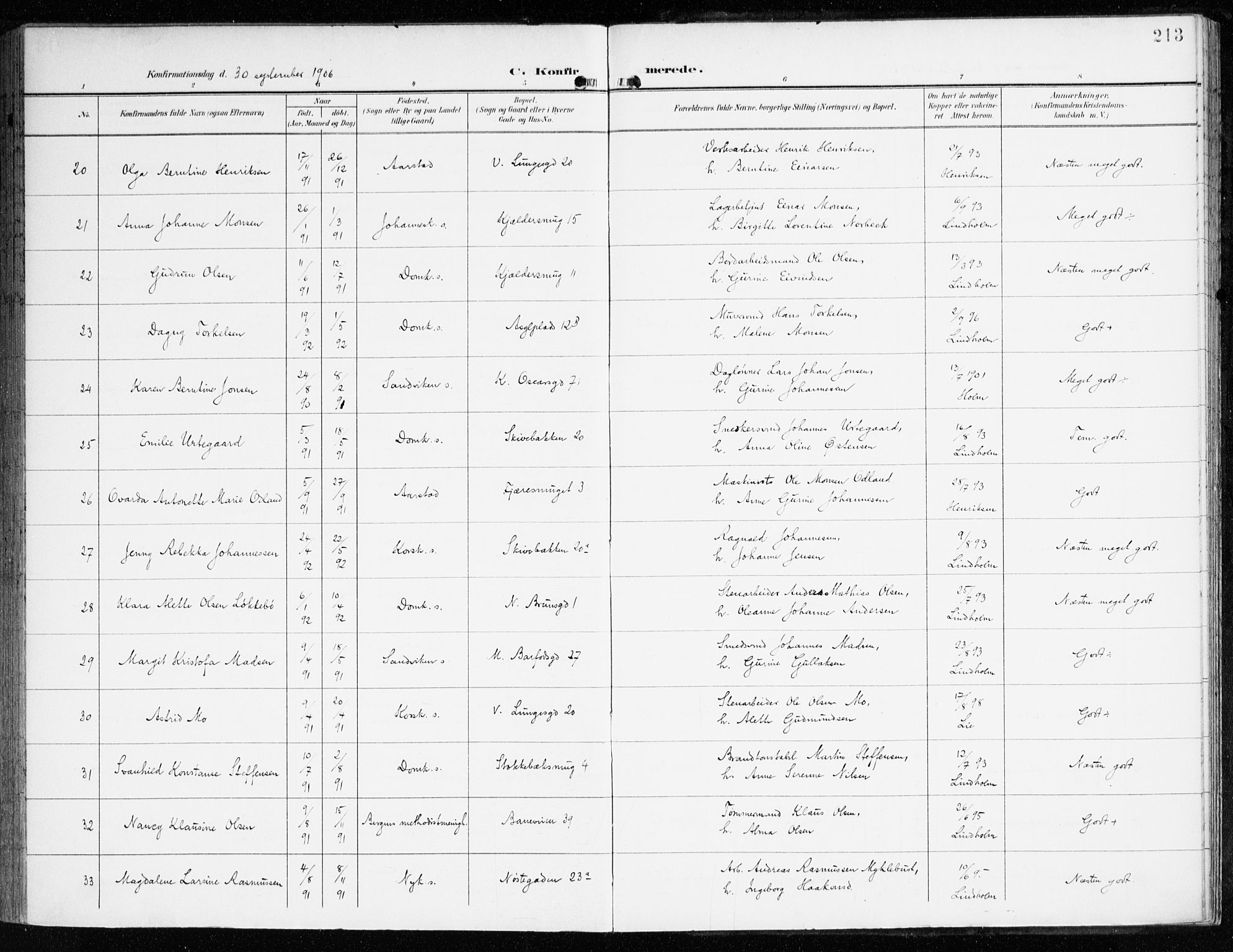 Domkirken sokneprestembete, AV/SAB-A-74801/H/Haa/L0031: Parish register (official) no. C 6, 1898-1915, p. 213