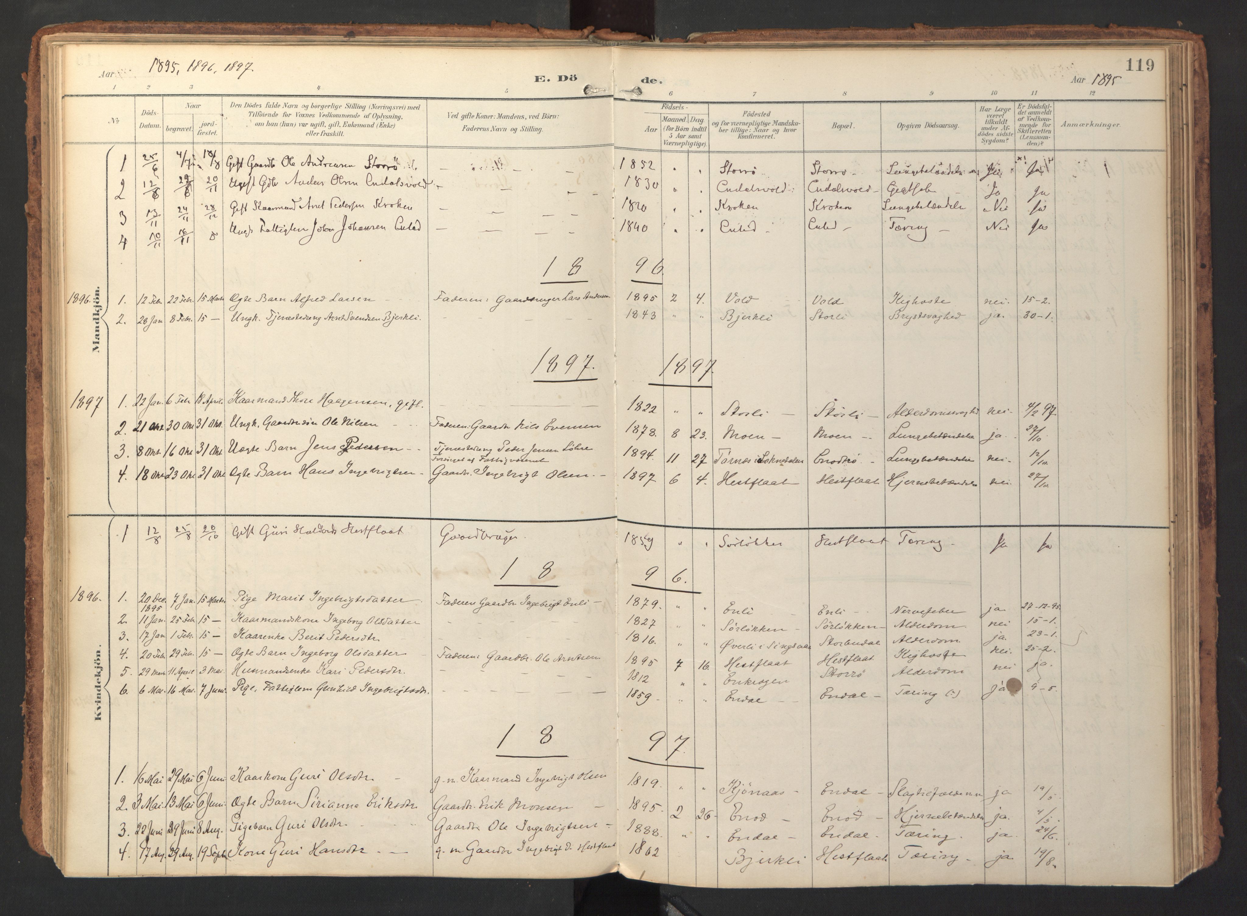 Ministerialprotokoller, klokkerbøker og fødselsregistre - Sør-Trøndelag, SAT/A-1456/690/L1050: Parish register (official) no. 690A01, 1889-1929, p. 119
