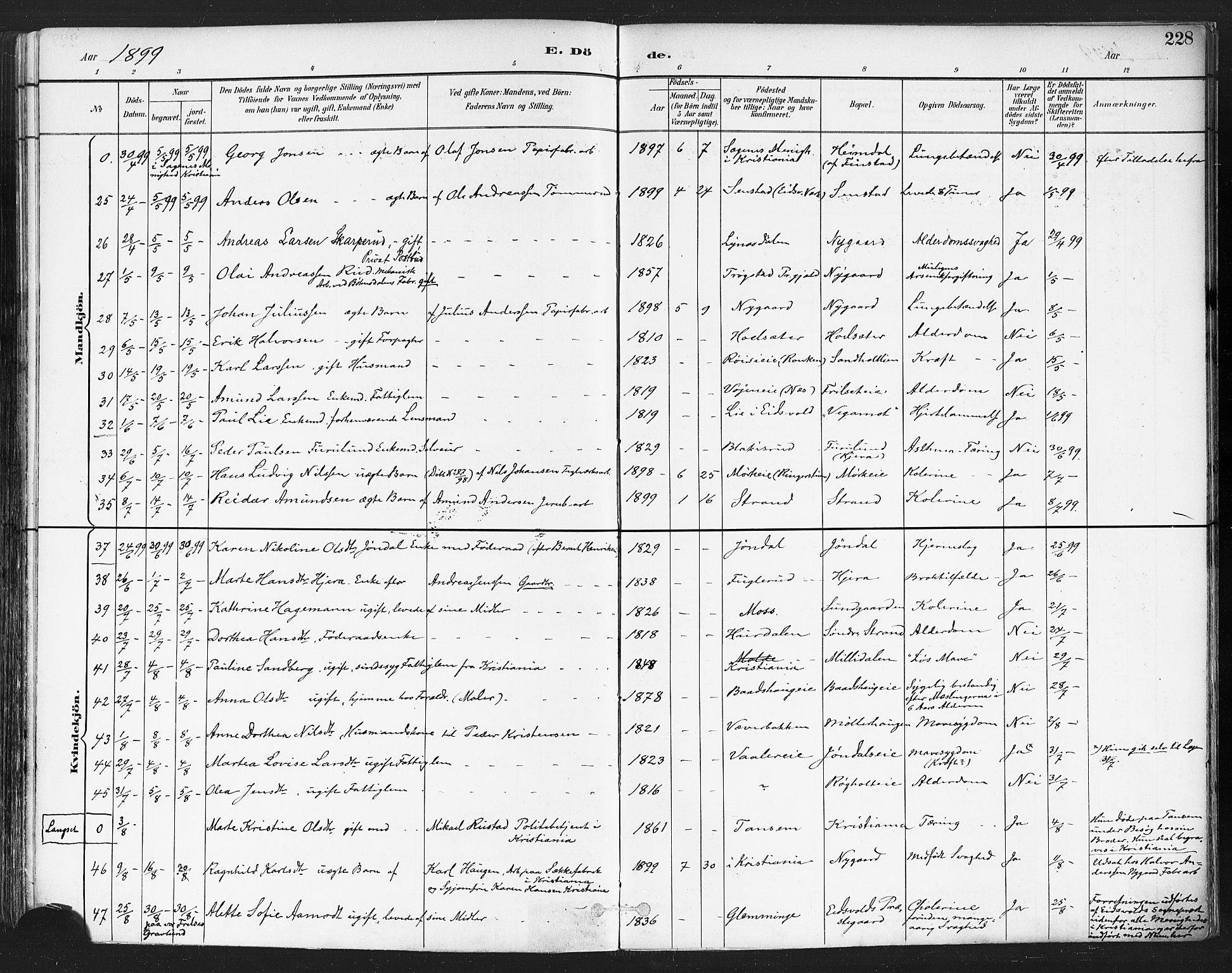Eidsvoll prestekontor Kirkebøker, SAO/A-10888/F/Fa/L0004: Parish register (official) no. I 4, 1891-1900, p. 228