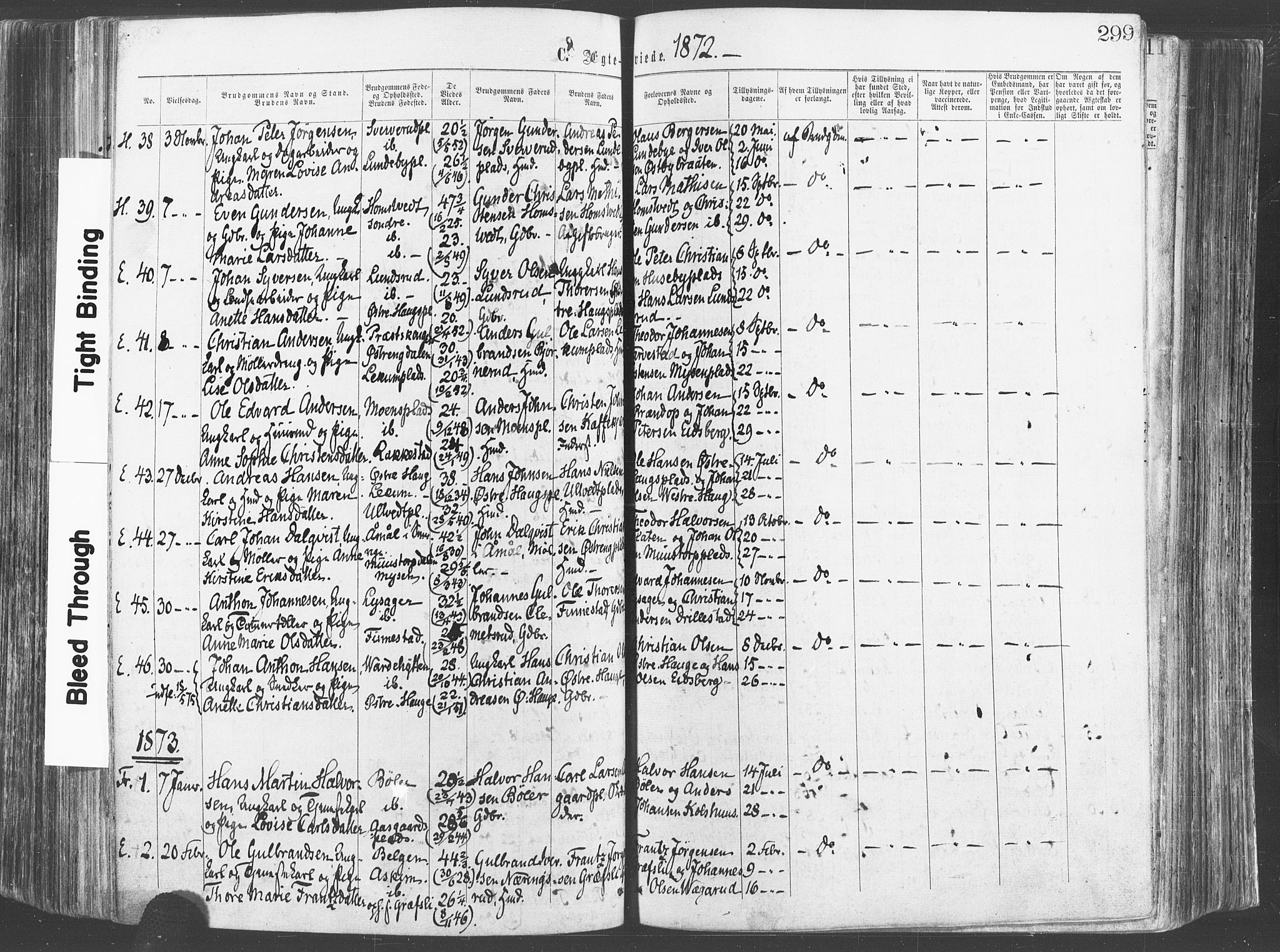 Eidsberg prestekontor Kirkebøker, SAO/A-10905/F/Fa/L0011: Parish register (official) no. I 11, 1867-1878, p. 299
