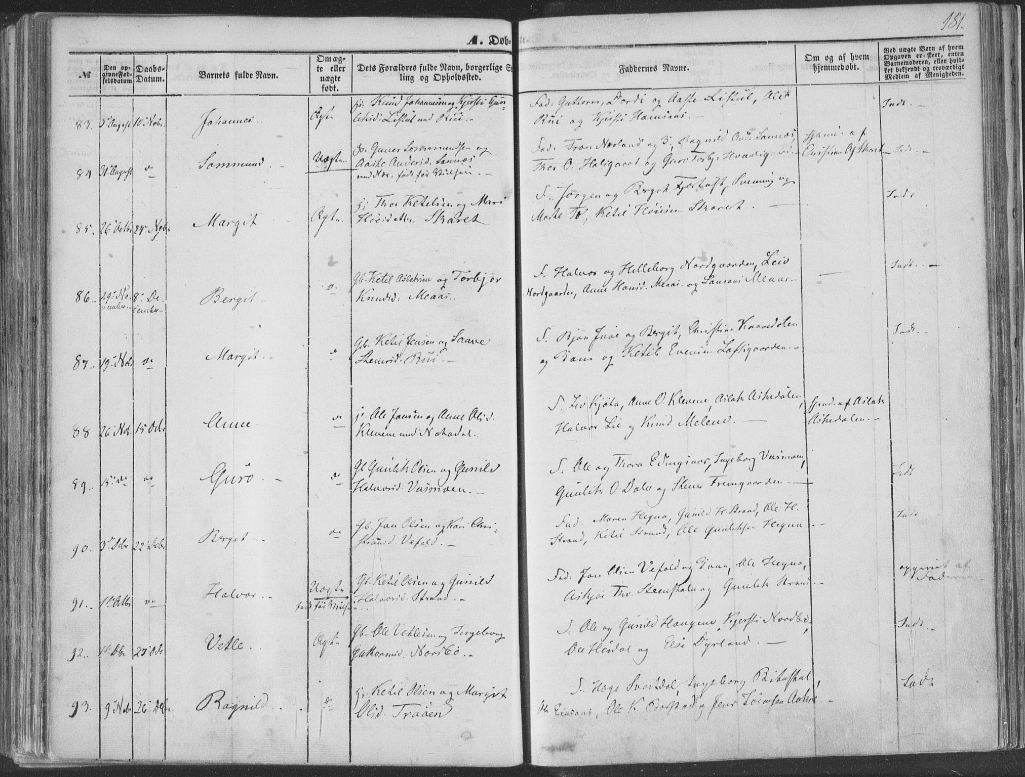Seljord kirkebøker, AV/SAKO-A-20/F/Fa/L012a: Parish register (official) no. I 12A, 1850-1865, p. 181
