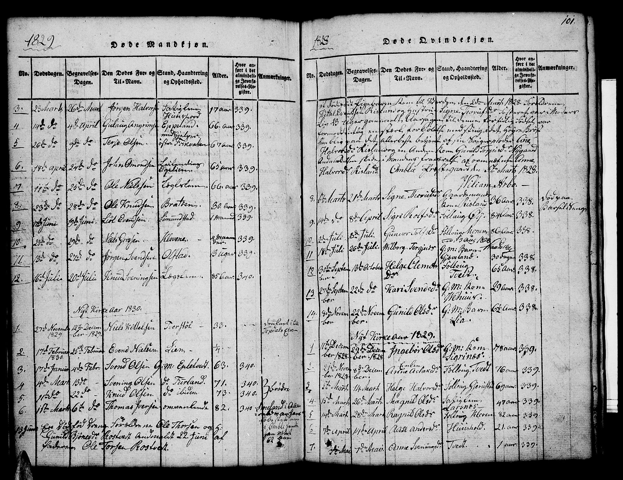 Åmli sokneprestkontor, SAK/1111-0050/F/Fb/Fbc/L0001: Parish register (copy) no. B 1, 1816-1867, p. 101