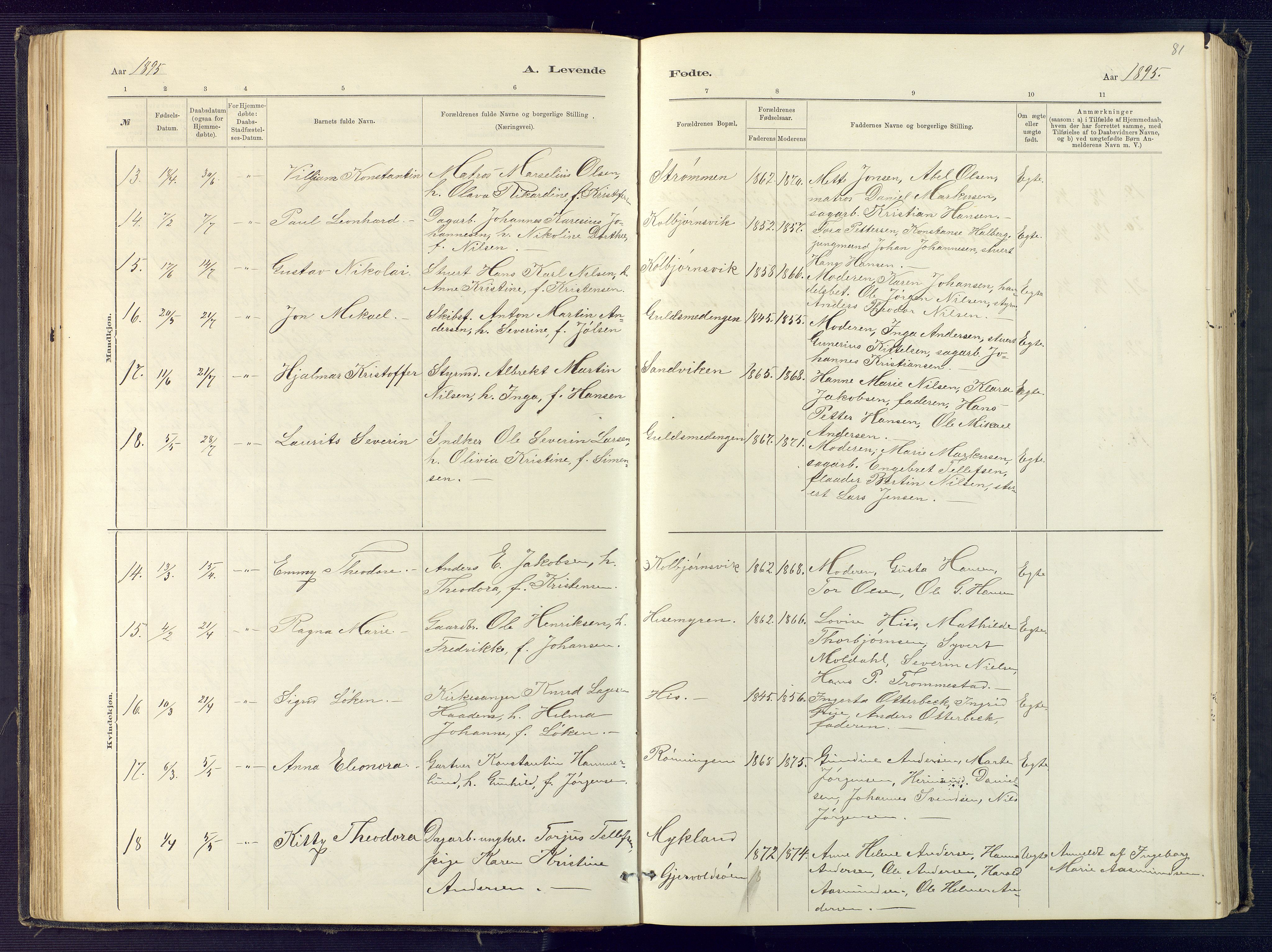 Hisøy sokneprestkontor, AV/SAK-1111-0020/F/Fb/L0003: Parish register (copy) no. B 3, 1885-1905, p. 81