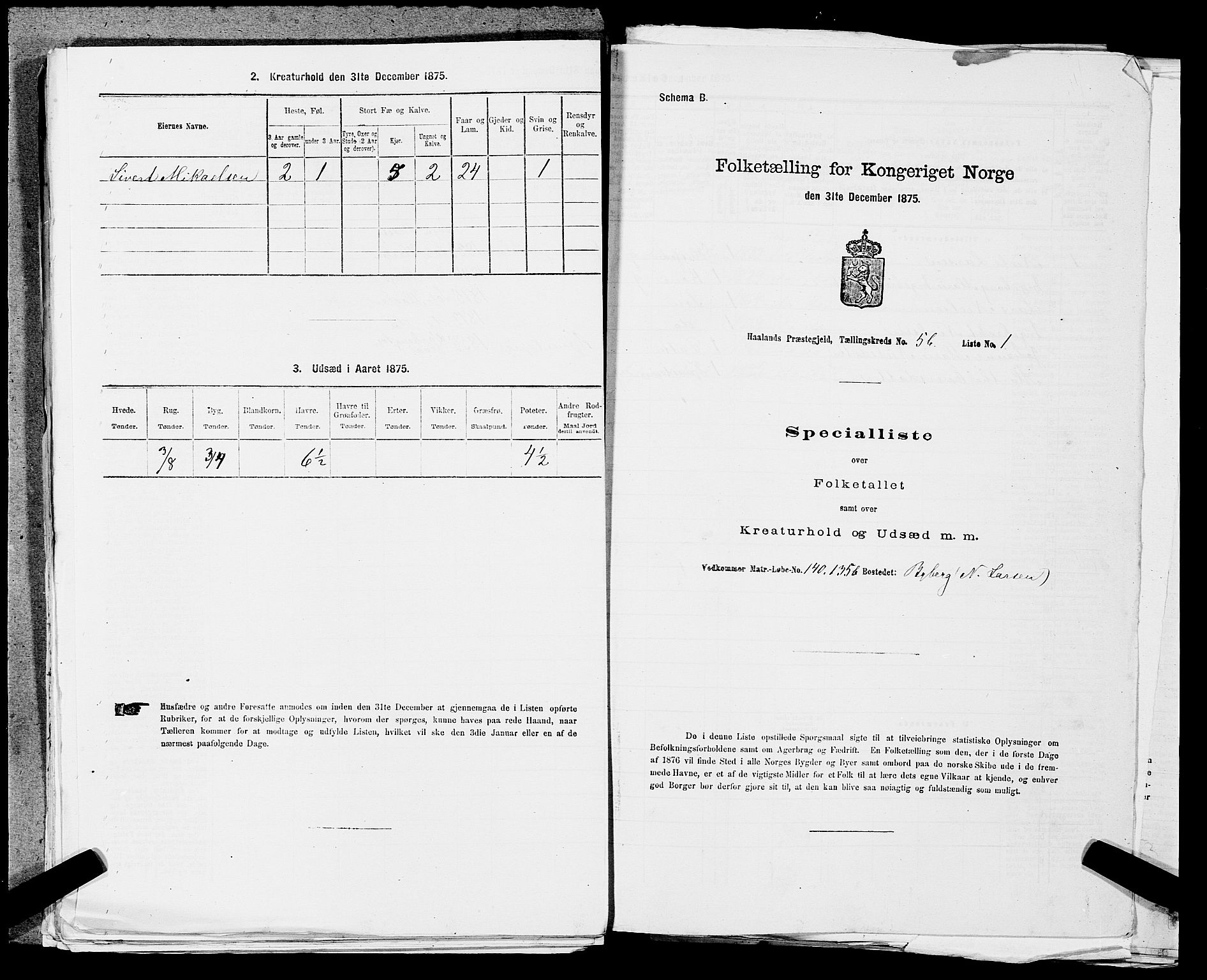 SAST, 1875 census for 1124P Håland, 1875, p. 866