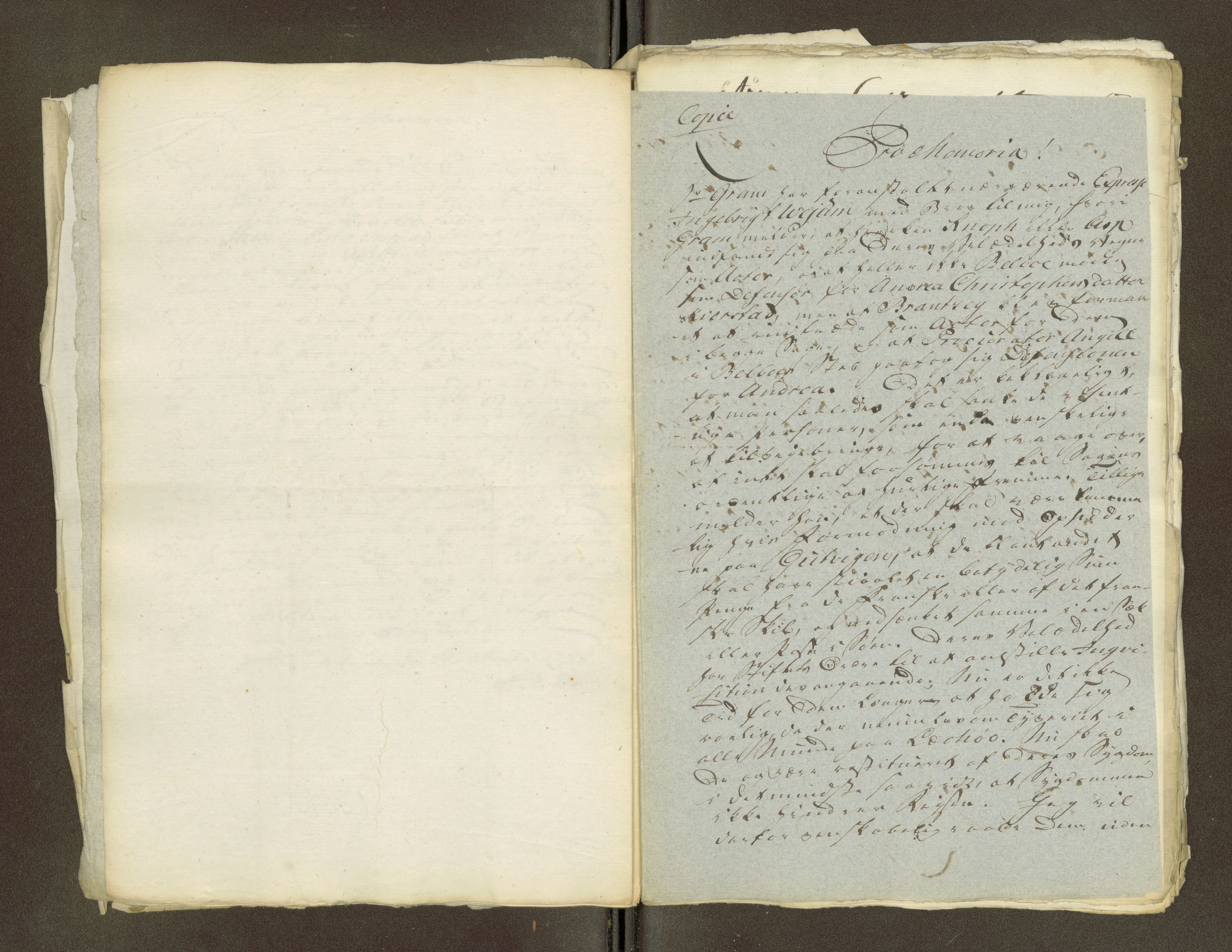 Namdal sorenskriveri, AV/SAT-A-4133/1/1/1O/1Oa/L0007: Sivile og offentlige saker, 1798, p. 218