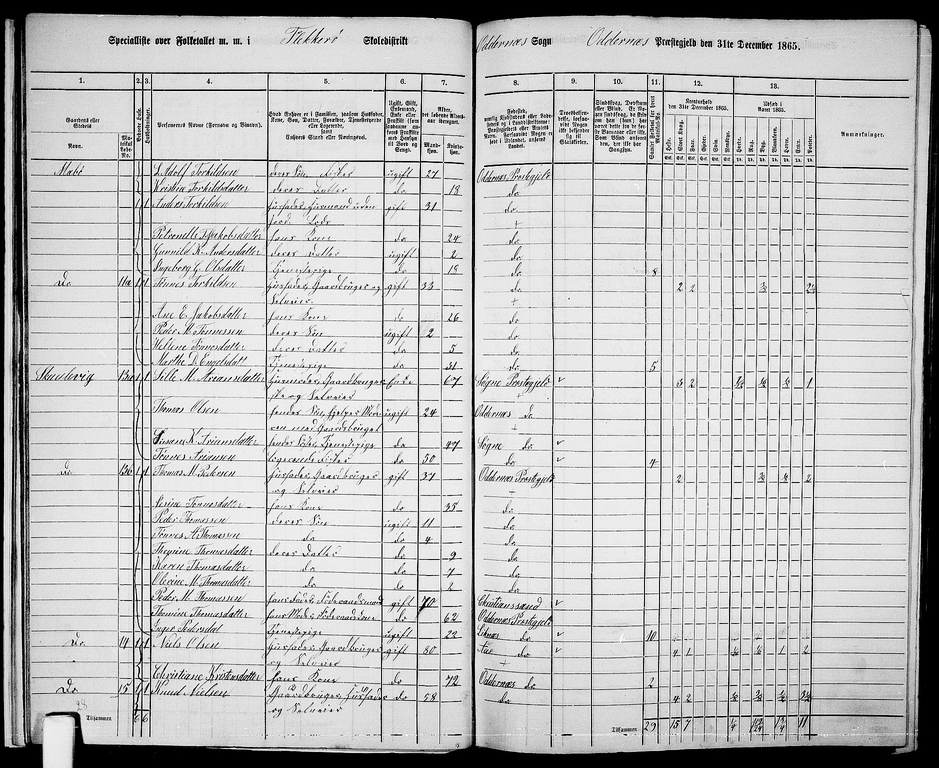 RA, 1865 census for Oddernes, 1865, p. 21