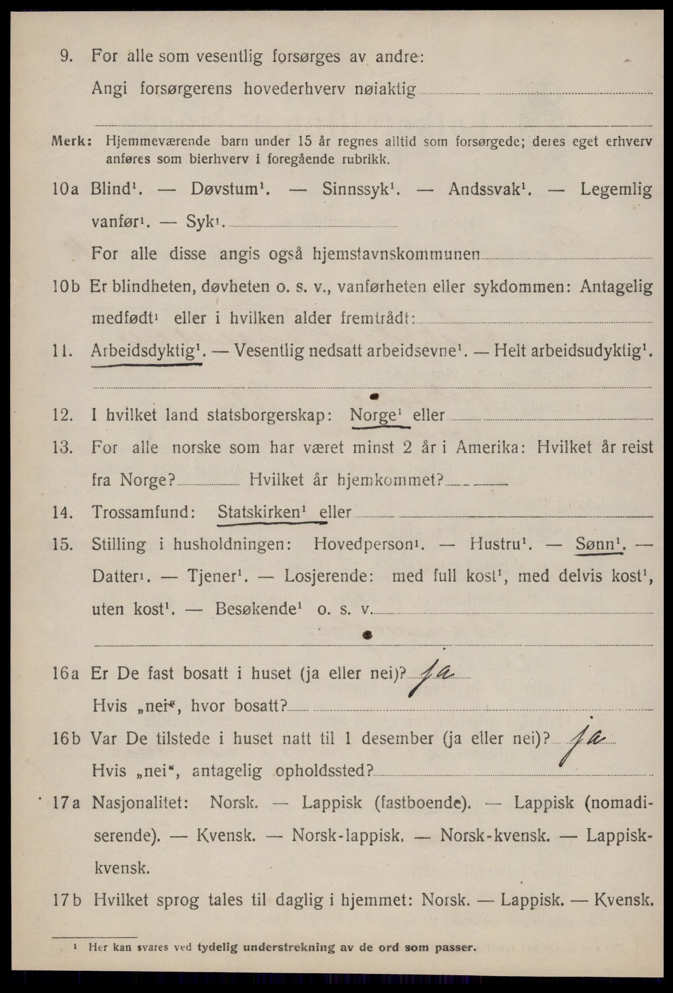 SAT, 1920 census for Røros, 1920, p. 12249