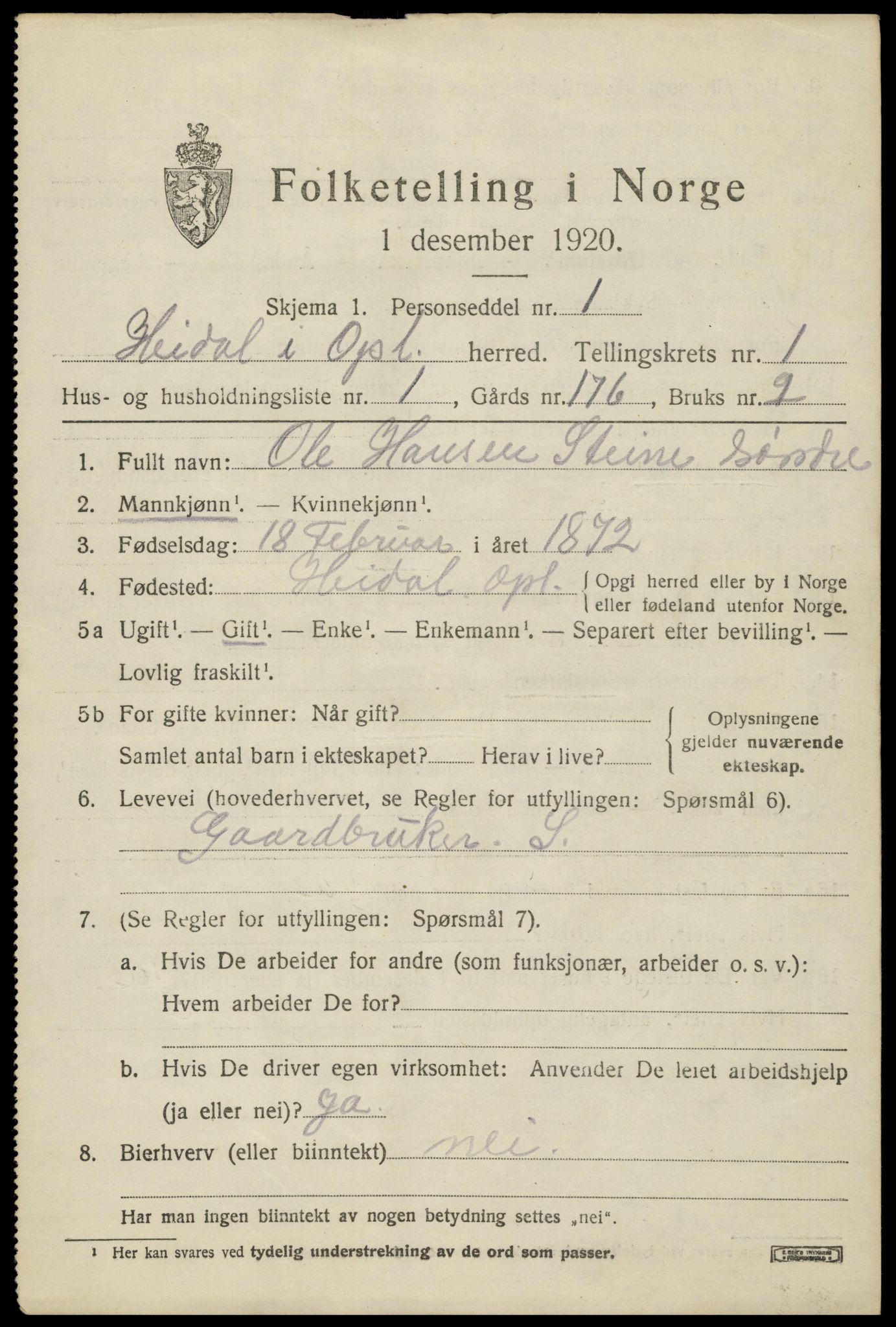 SAH, 1920 census for Heidal, 1920, p. 496