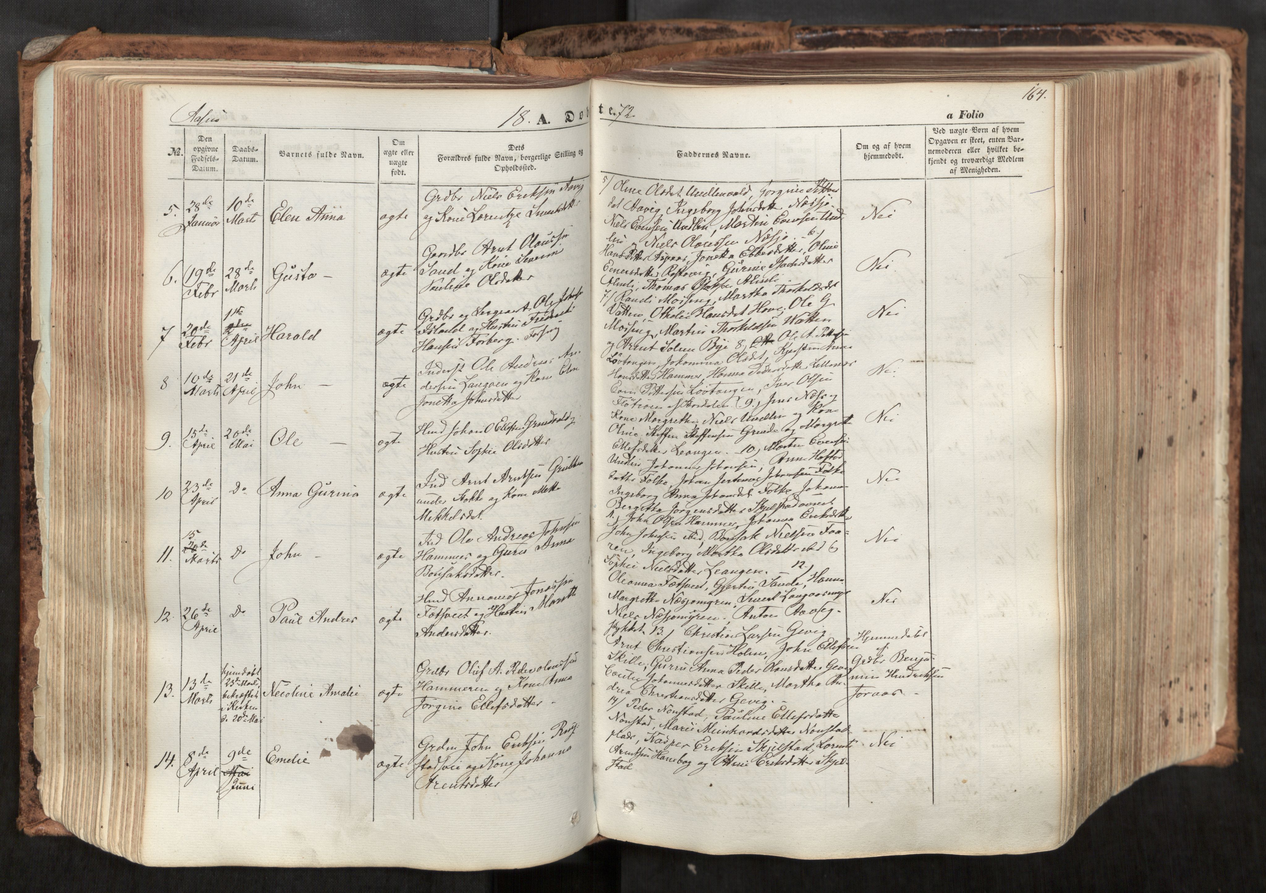 Ministerialprotokoller, klokkerbøker og fødselsregistre - Nord-Trøndelag, SAT/A-1458/713/L0116: Parish register (official) no. 713A07, 1850-1877, p. 164