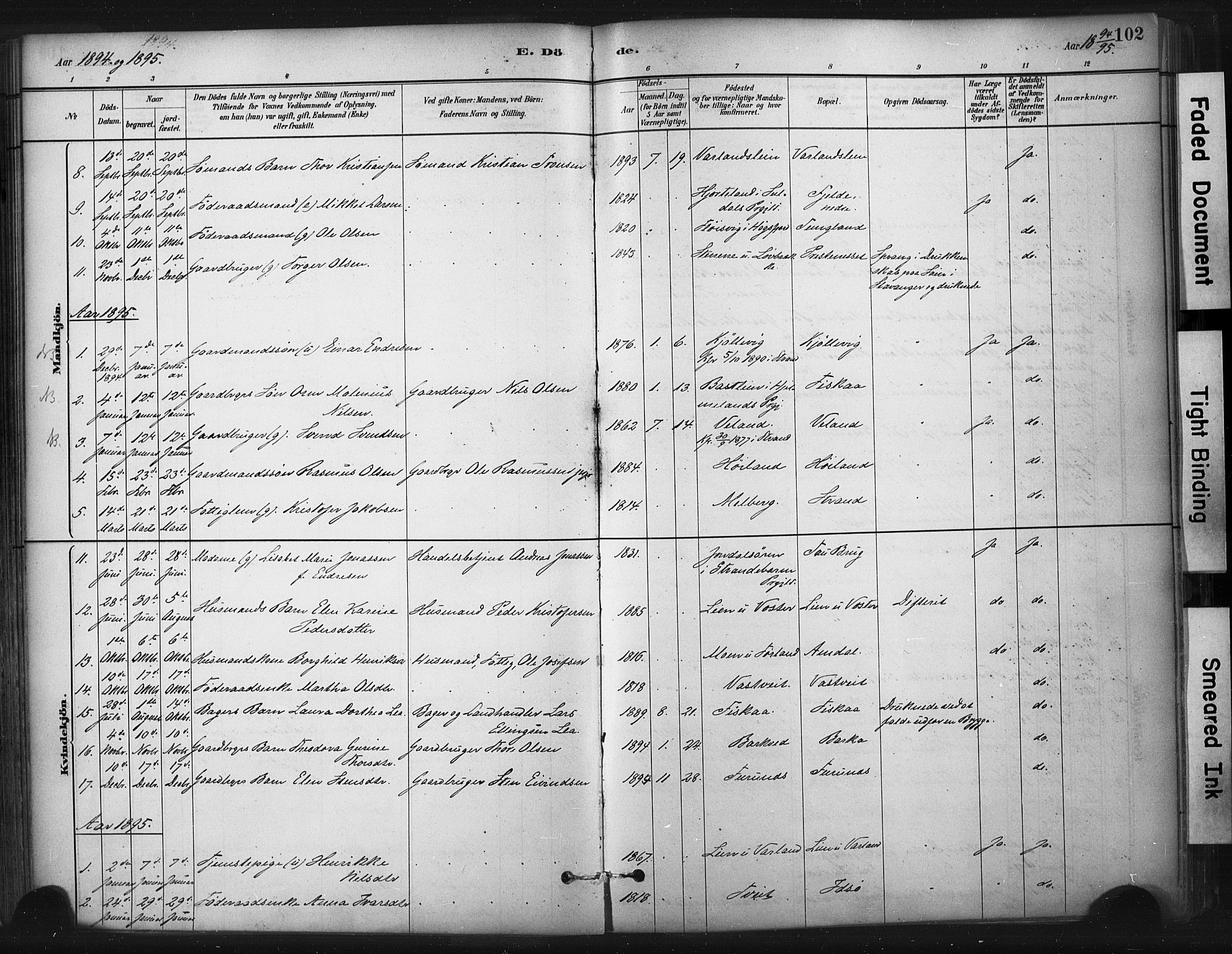Strand sokneprestkontor, SAST/A-101828/H/Ha/Haa/L0010: Parish register (official) no. A 10, 1882-1929, p. 102