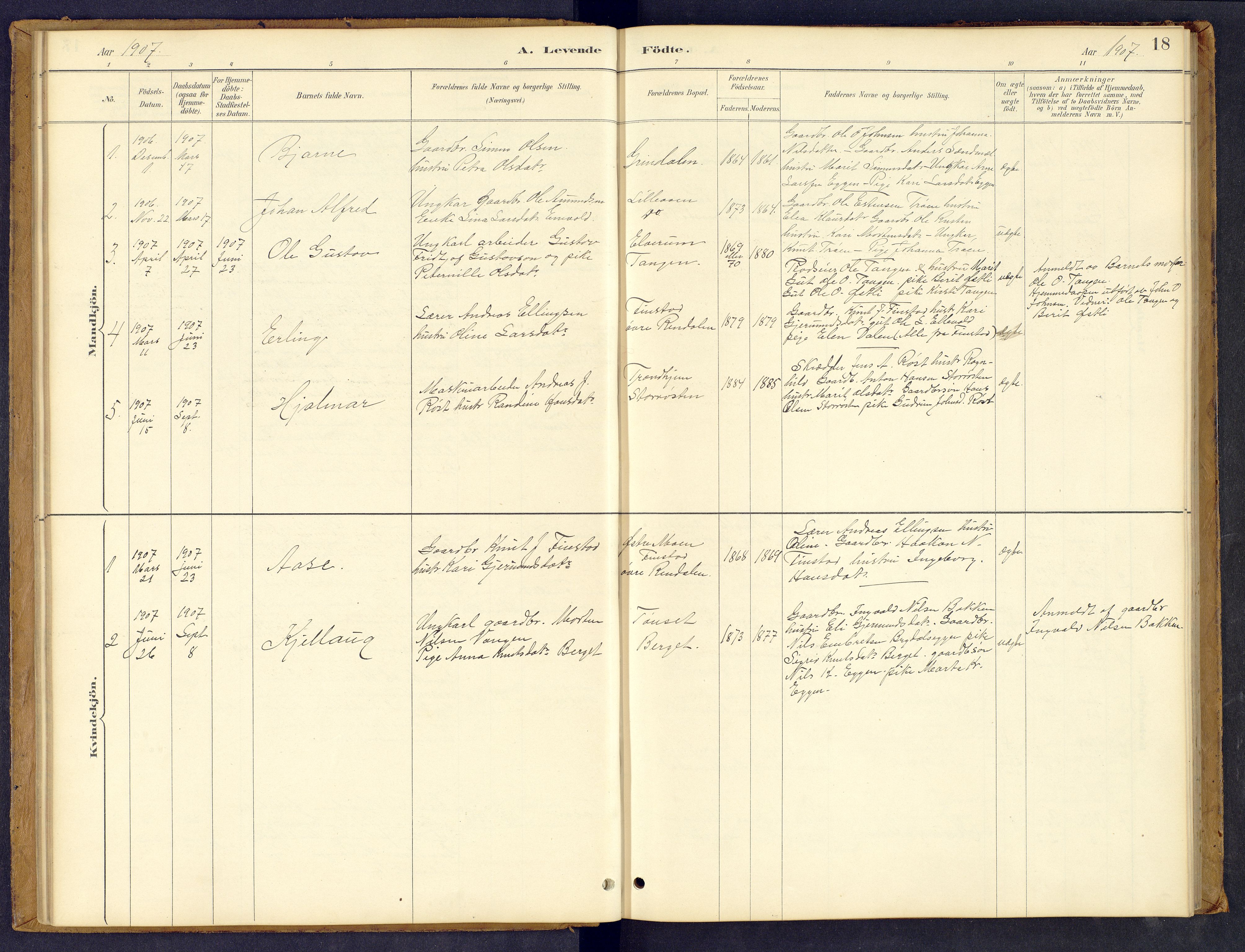 Tynset prestekontor, SAH/PREST-058/H/Ha/Hab/L0008: Parish register (copy) no. 8, 1884-1916, p. 18