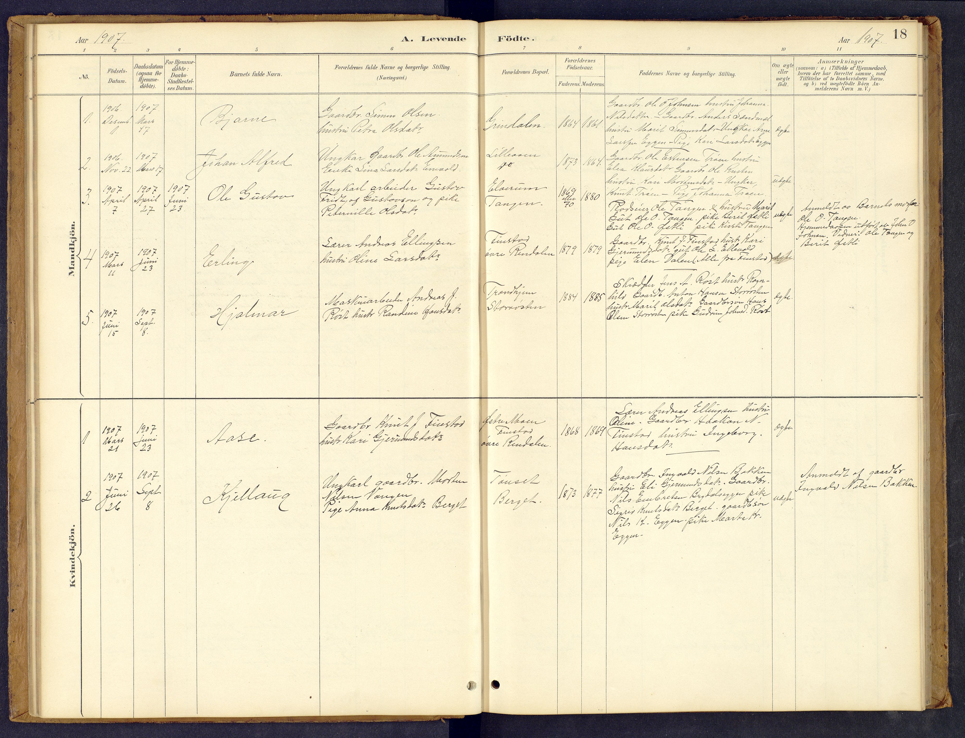 Tynset prestekontor, AV/SAH-PREST-058/H/Ha/Hab/L0008: Parish register (copy) no. 8, 1884-1916, p. 18