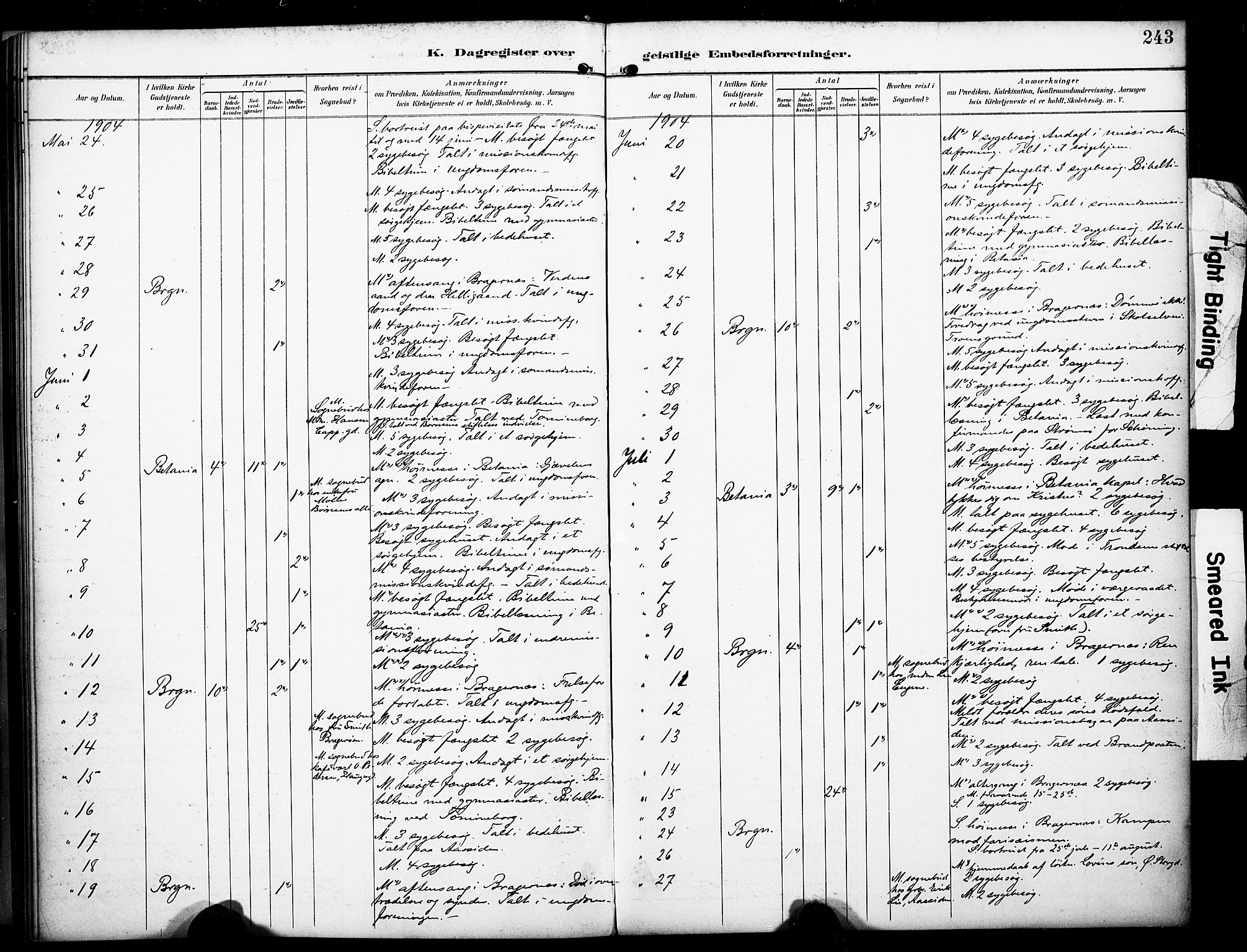 Bragernes kirkebøker, AV/SAKO-A-6/F/Fc/L0006: Parish register (official) no. III 6, 1888-1899, p. 243