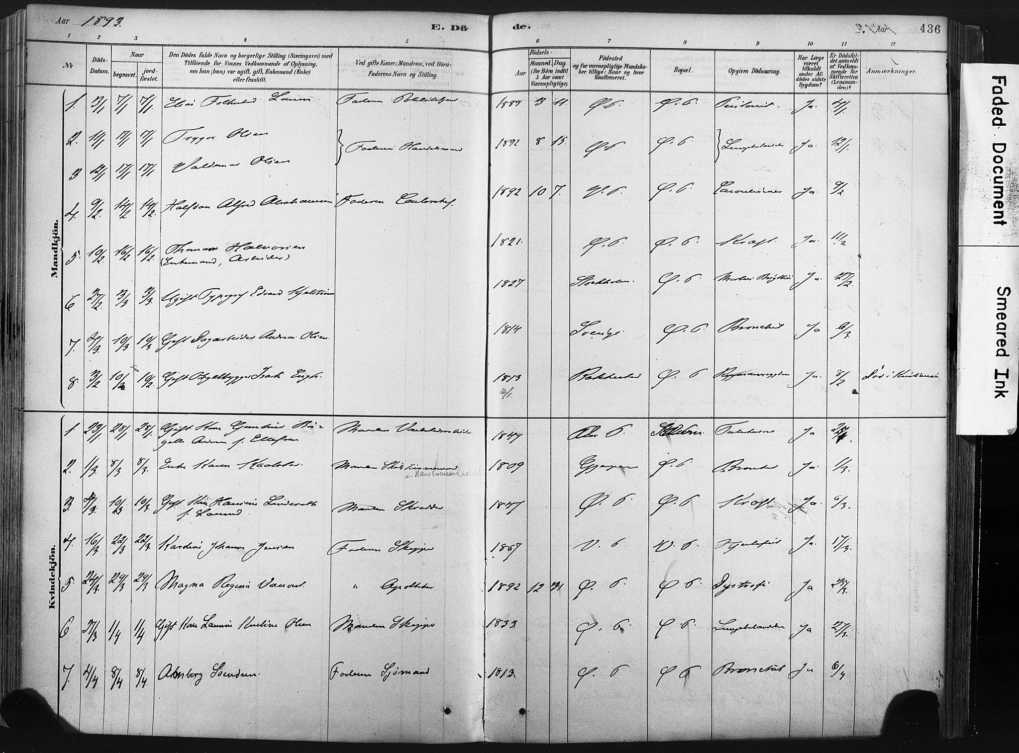 Porsgrunn kirkebøker , SAKO/A-104/F/Fa/L0008: Parish register (official) no. 8, 1878-1895, p. 436