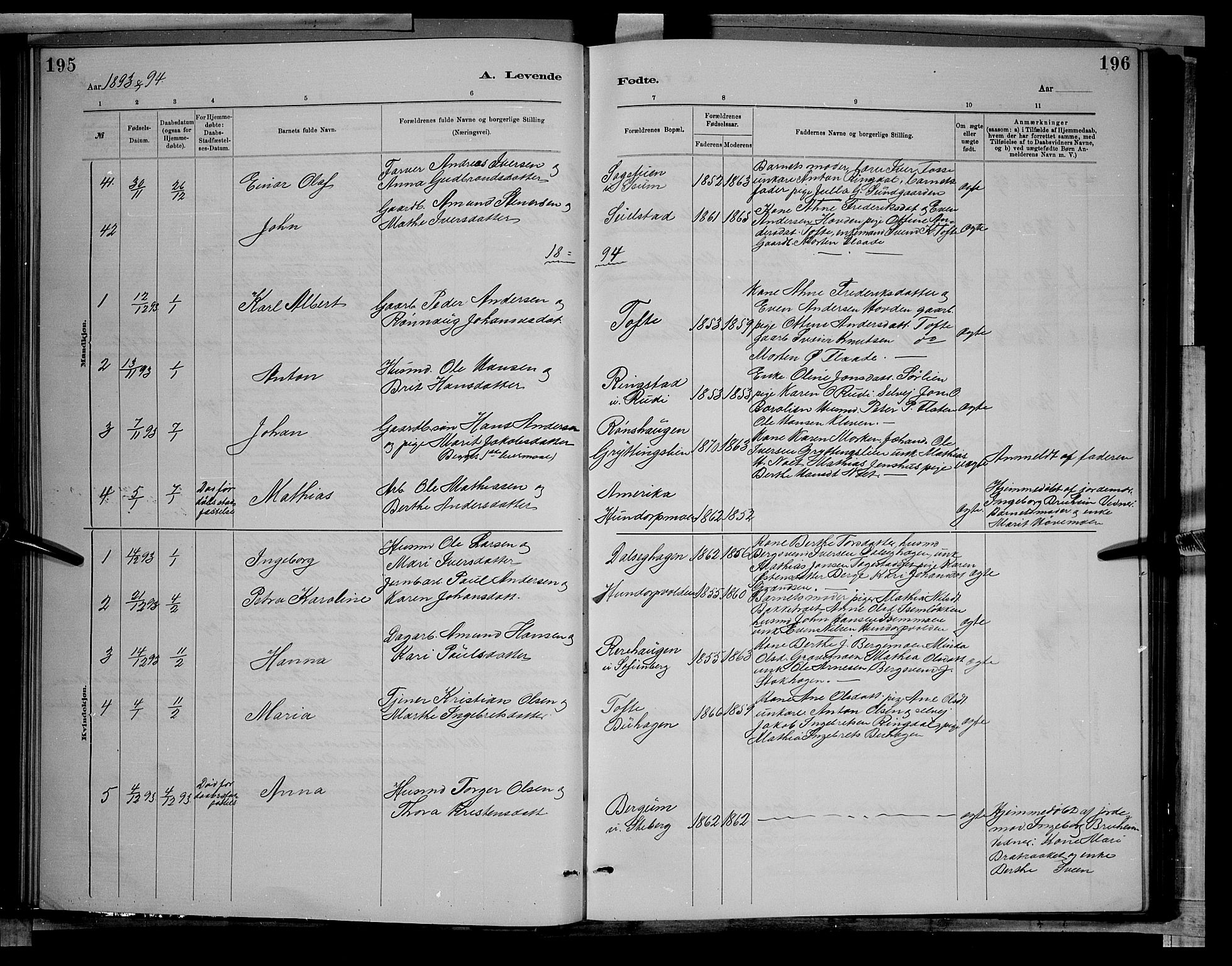 Sør-Fron prestekontor, SAH/PREST-010/H/Ha/Hab/L0003: Parish register (copy) no. 3, 1884-1896, p. 195-196