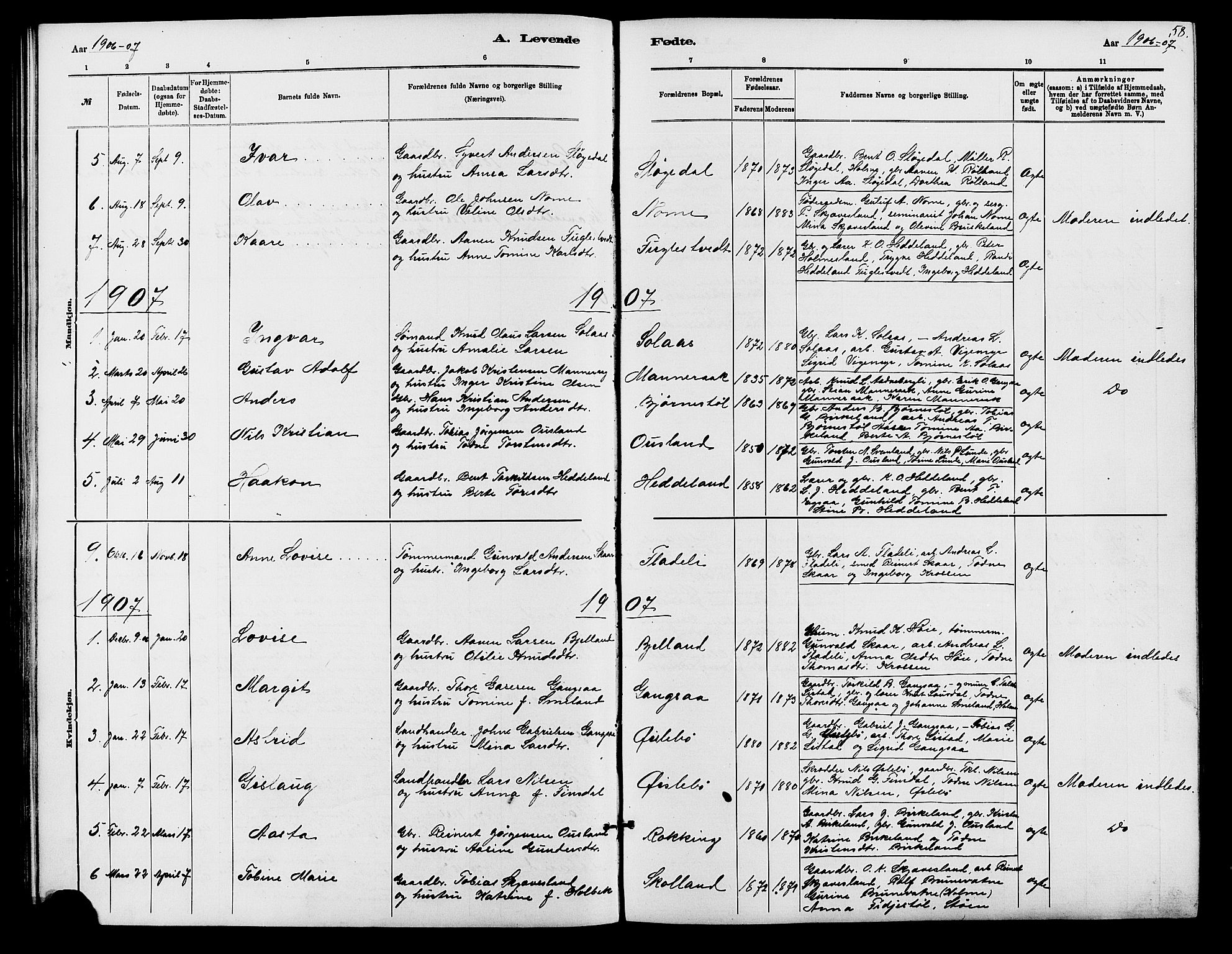 Holum sokneprestkontor, SAK/1111-0022/F/Fb/Fbc/L0003: Parish register (copy) no. B 3, 1882-1908, p. 58